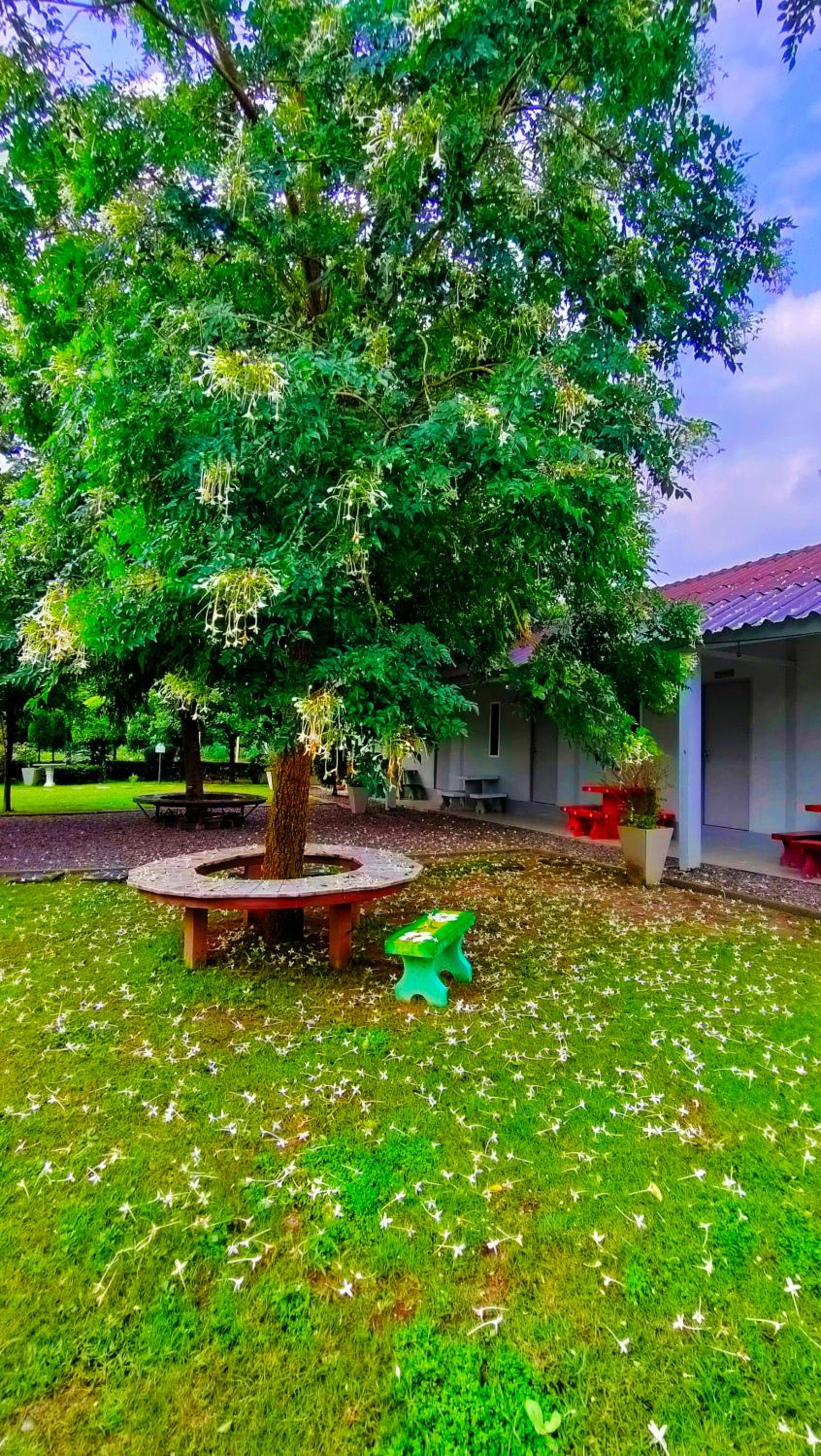 Double Room with Garden View - Photo 33