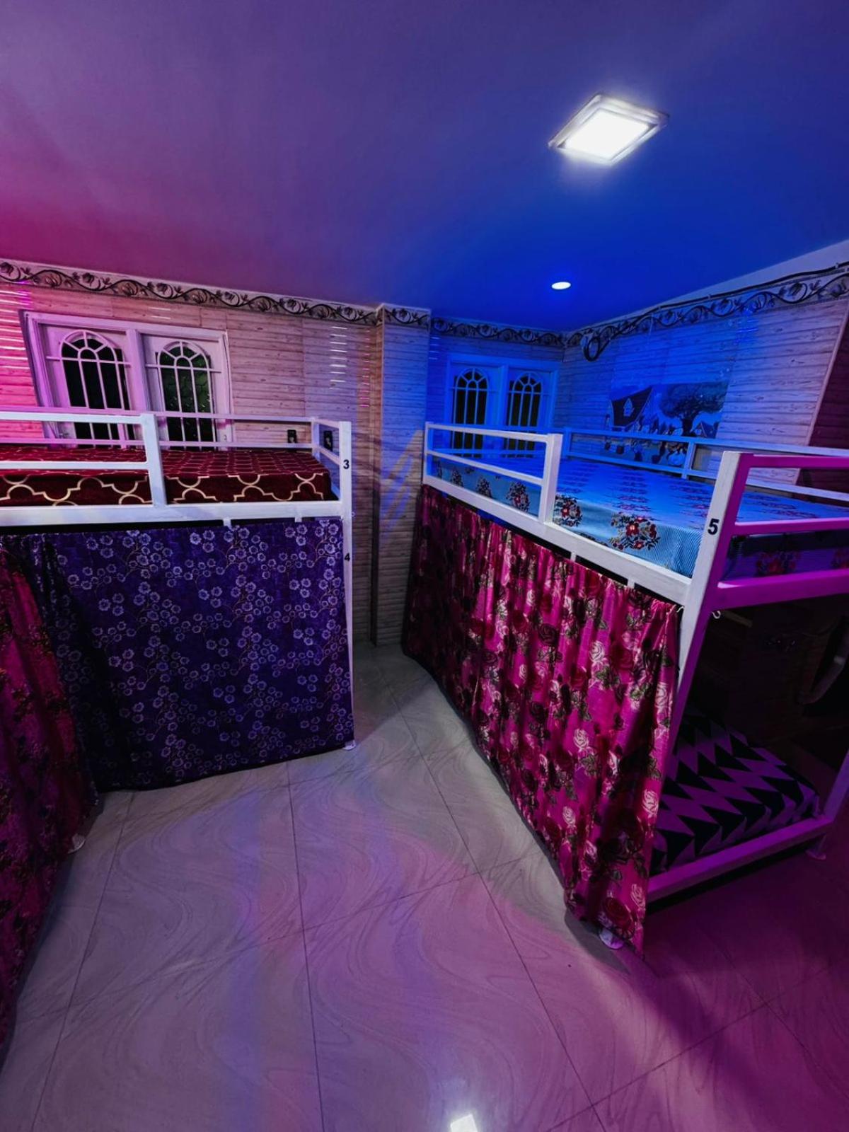 Bunk Bed in Mixed Dormitory Room photo 2