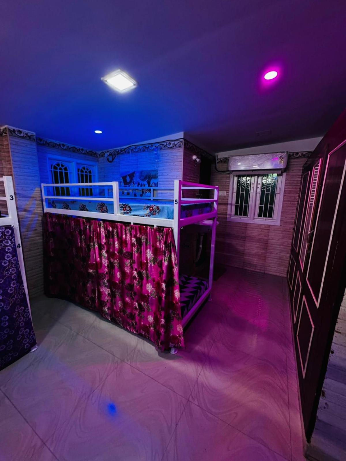 Bunk Bed in Mixed Dormitory Room photo 1