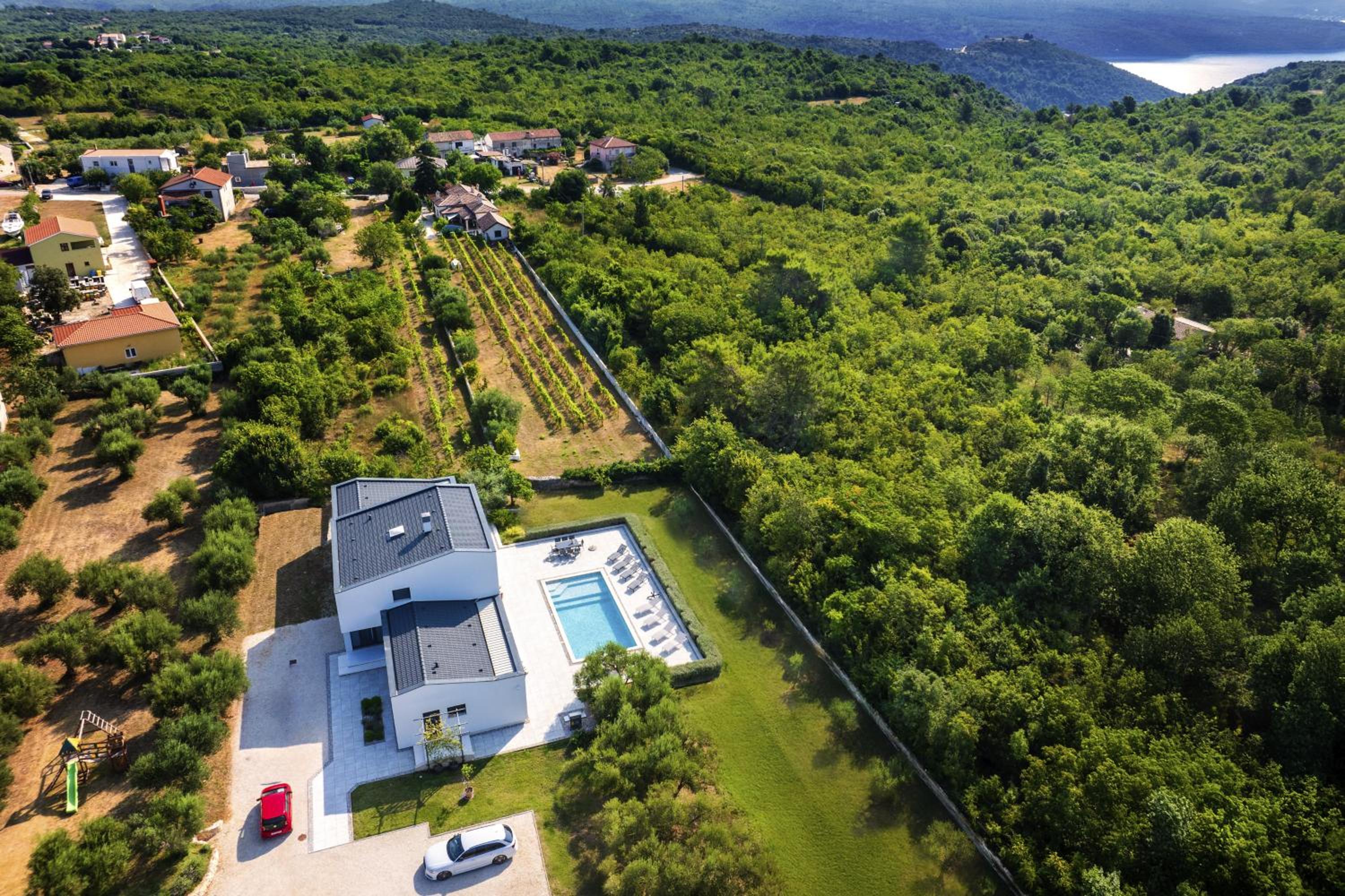 Deluxe Villa photo 2