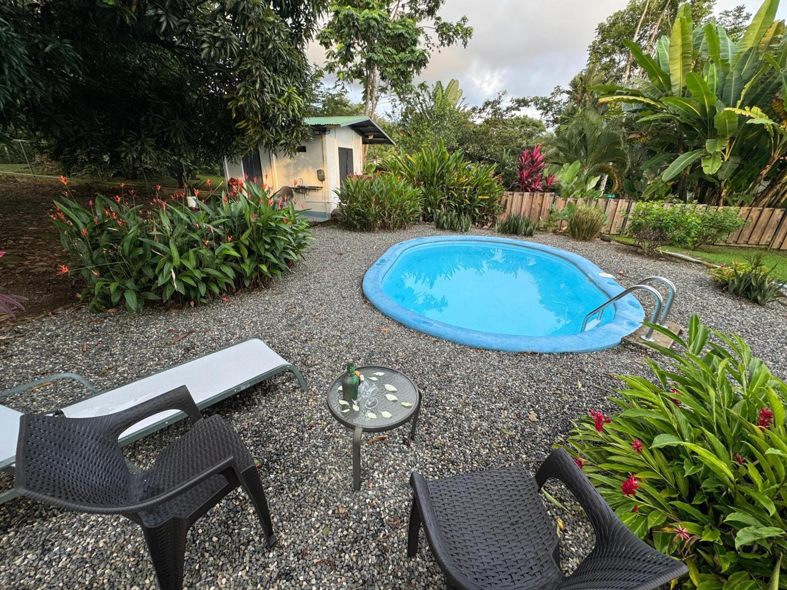 Standard Villa photo 3