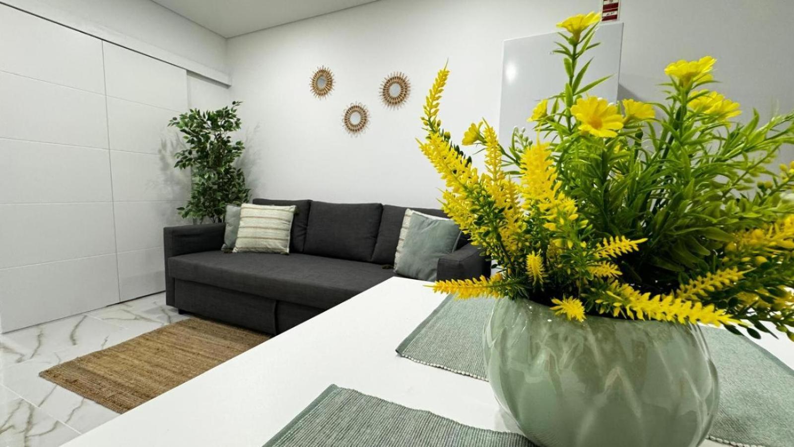 Superior Apartment with City View