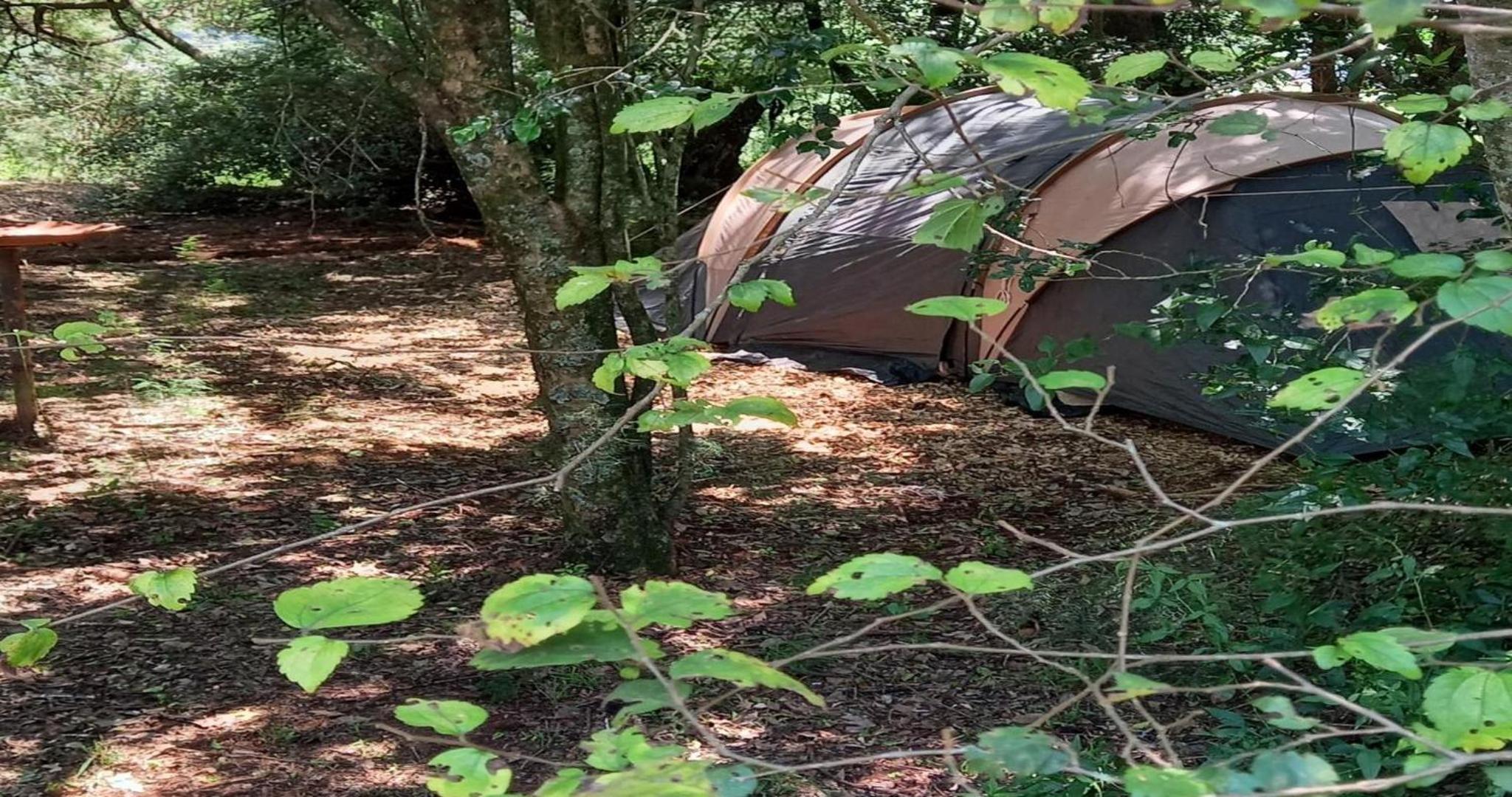 Standard Tent photo 3