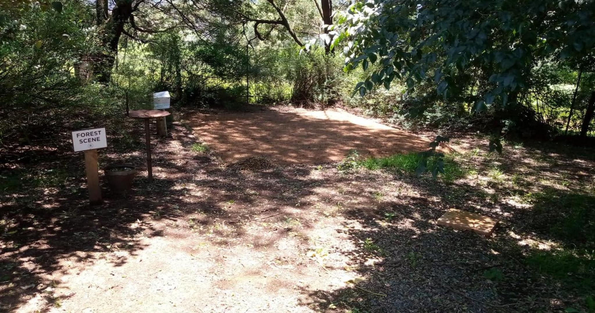 Basic Tent photo 3