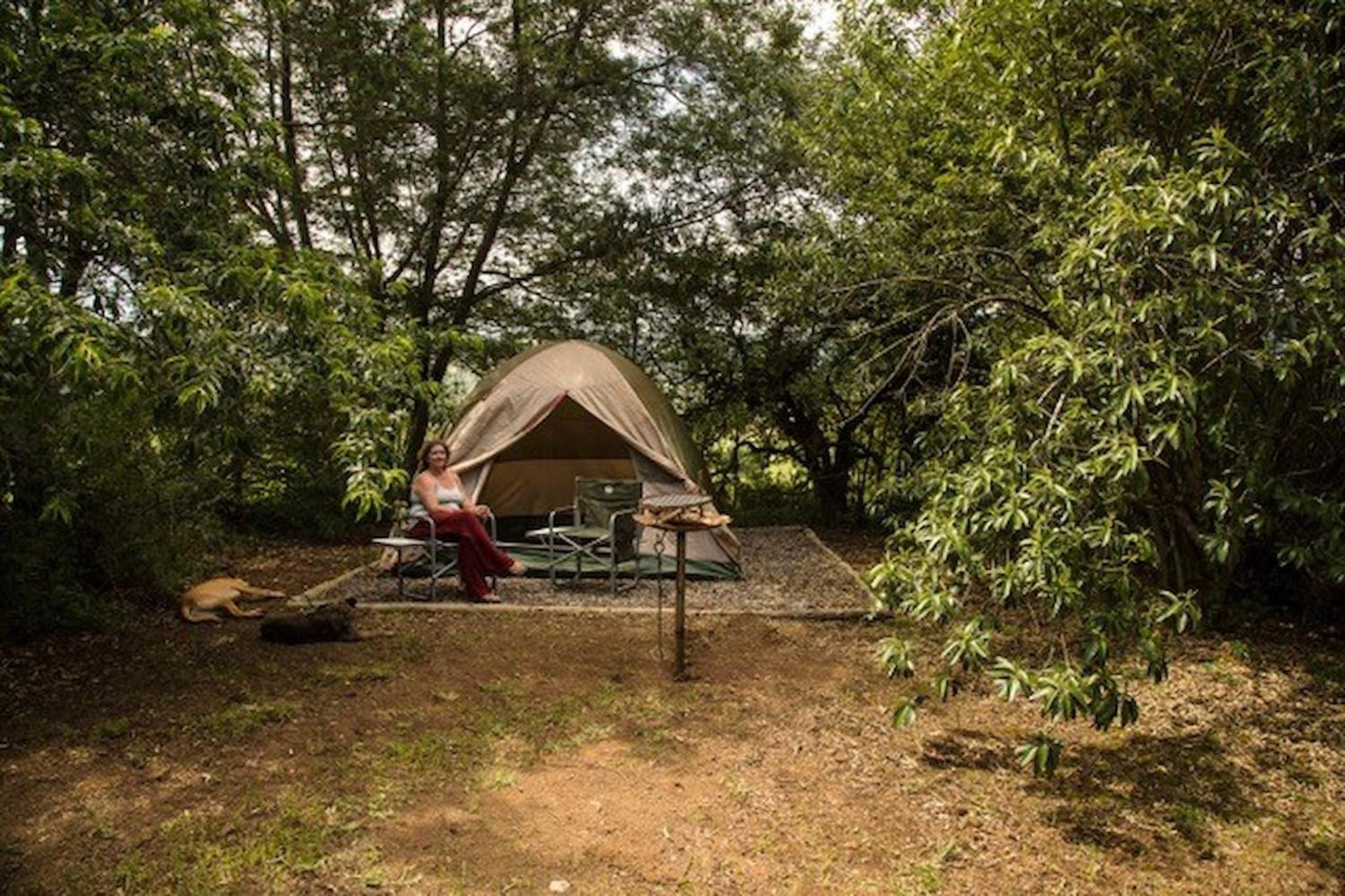 Comfort Tent photo 1