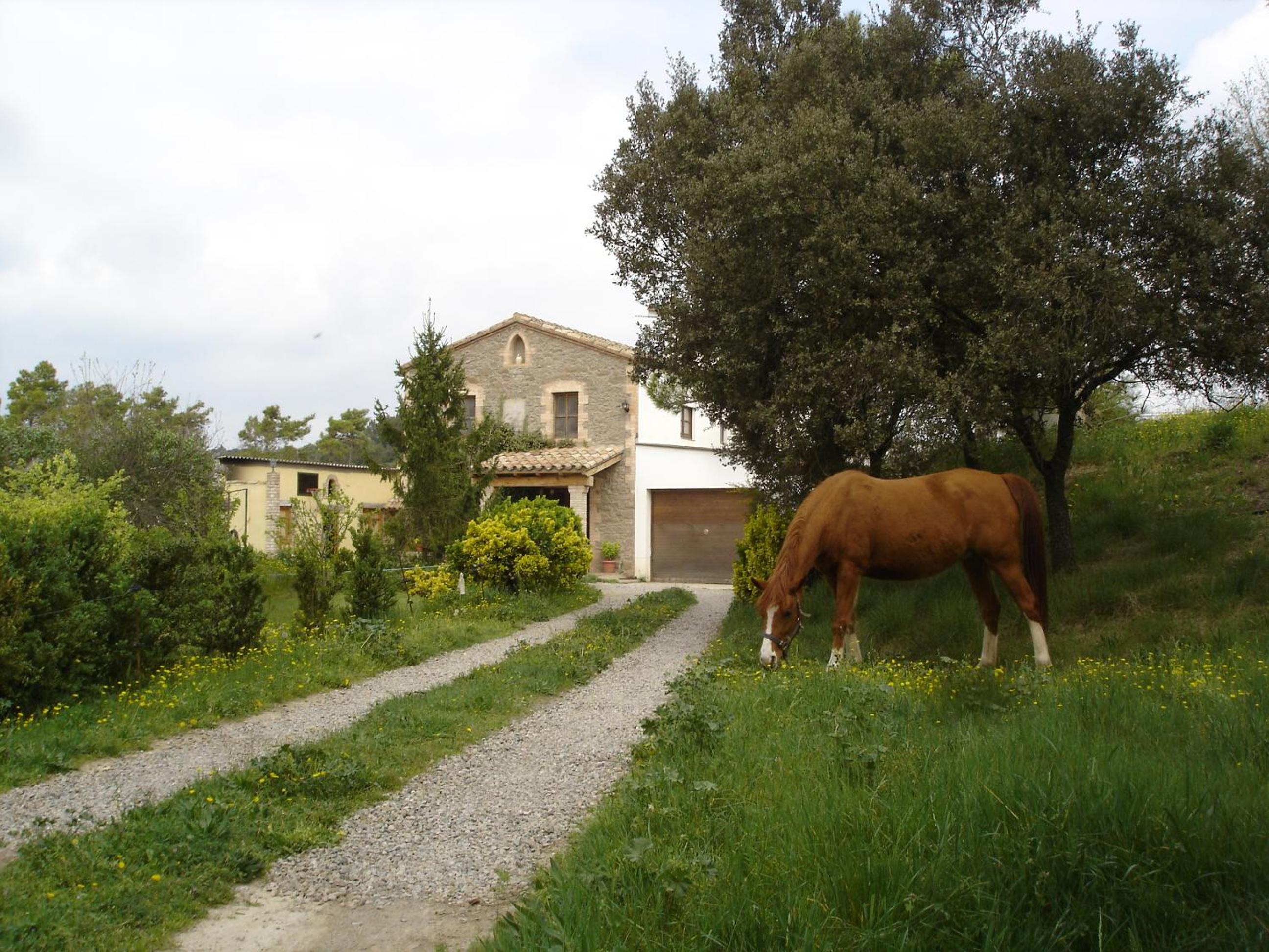 Superior Villa photo 2