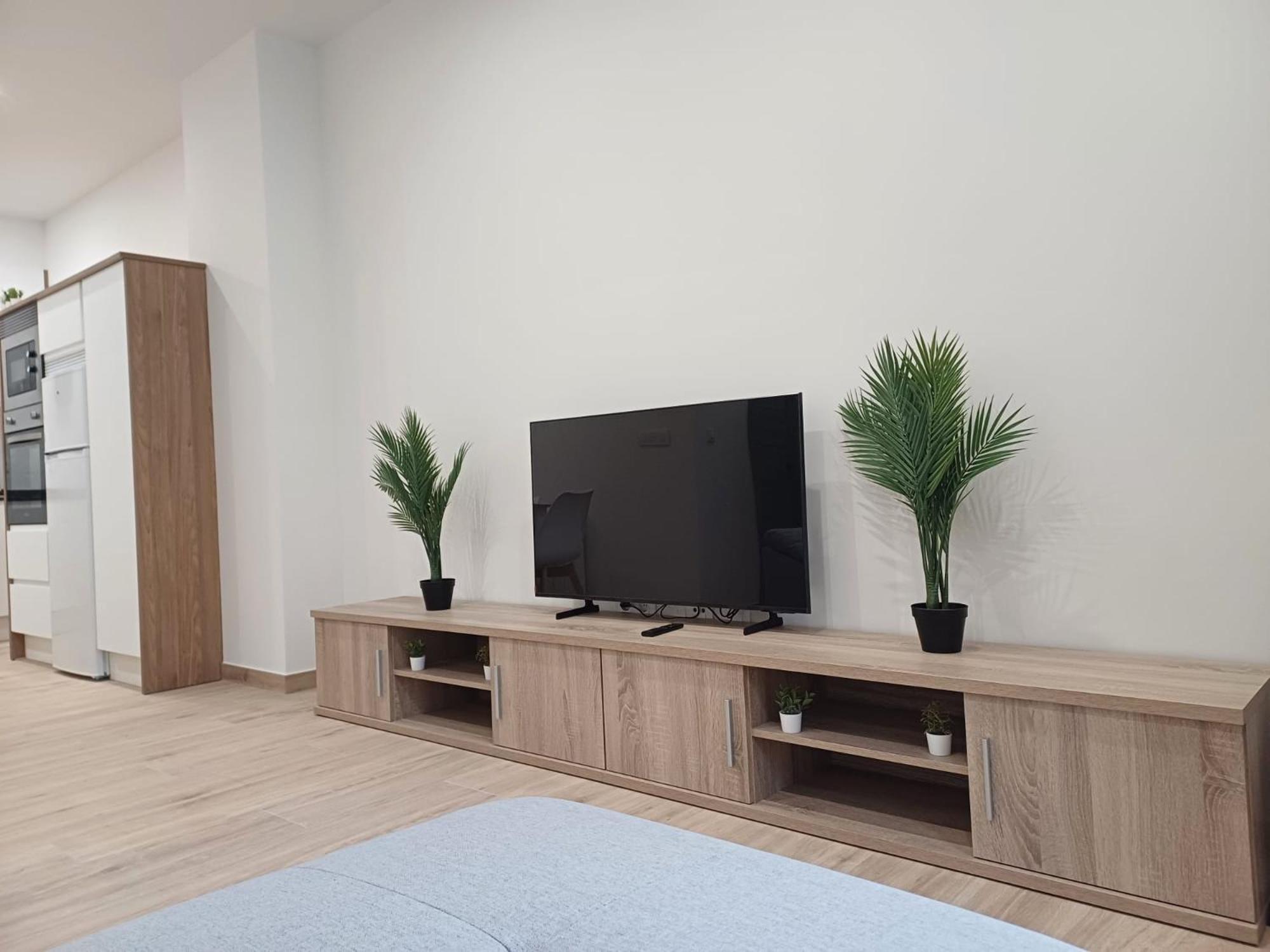 Apartamento Deluxe de Dos Habitaciones
