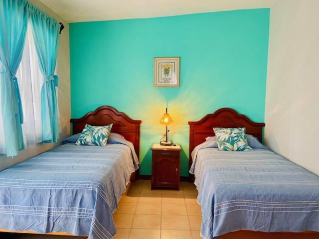 Twin Room with Terrace photo 1