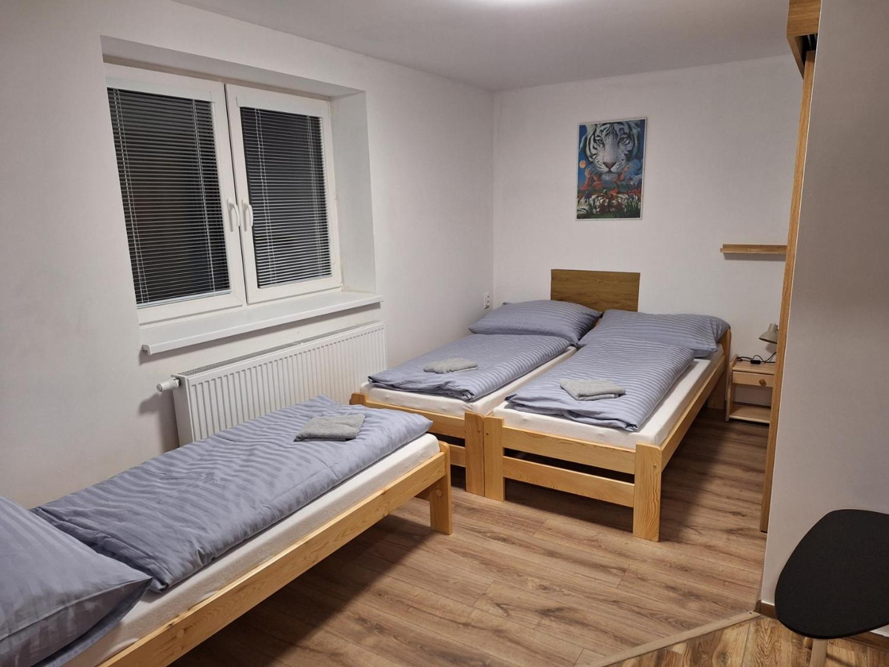 Standard Twin Room photo 1