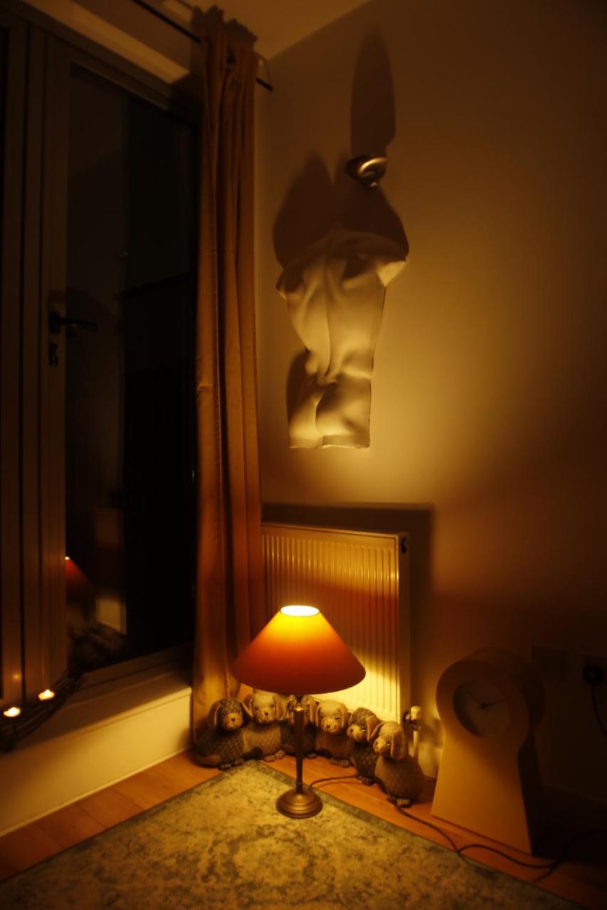 One-Bedroom Apartment photo 3