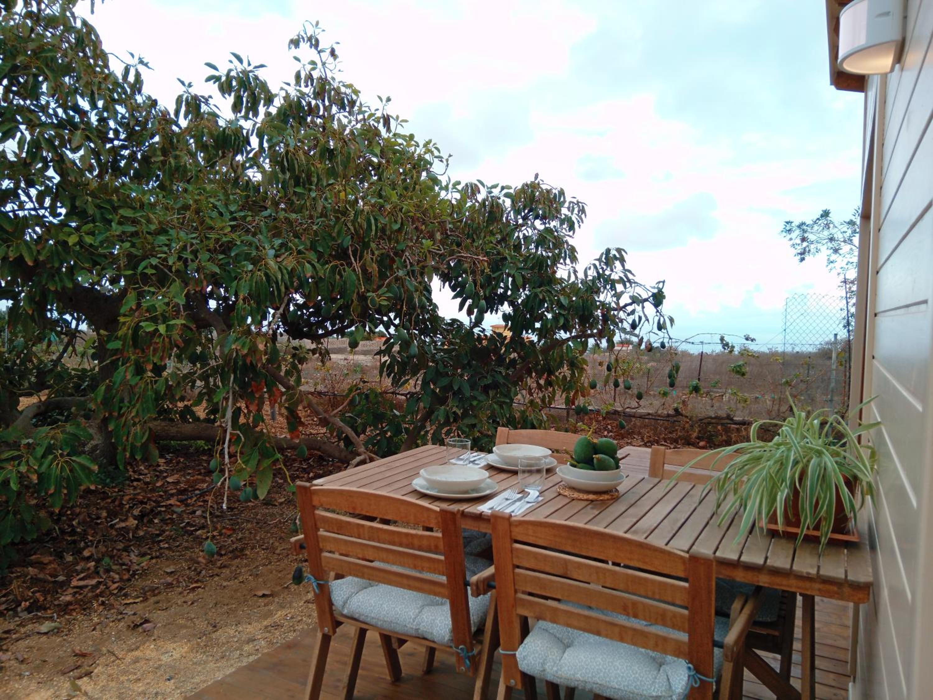 Bungalow with Terrace photo 2