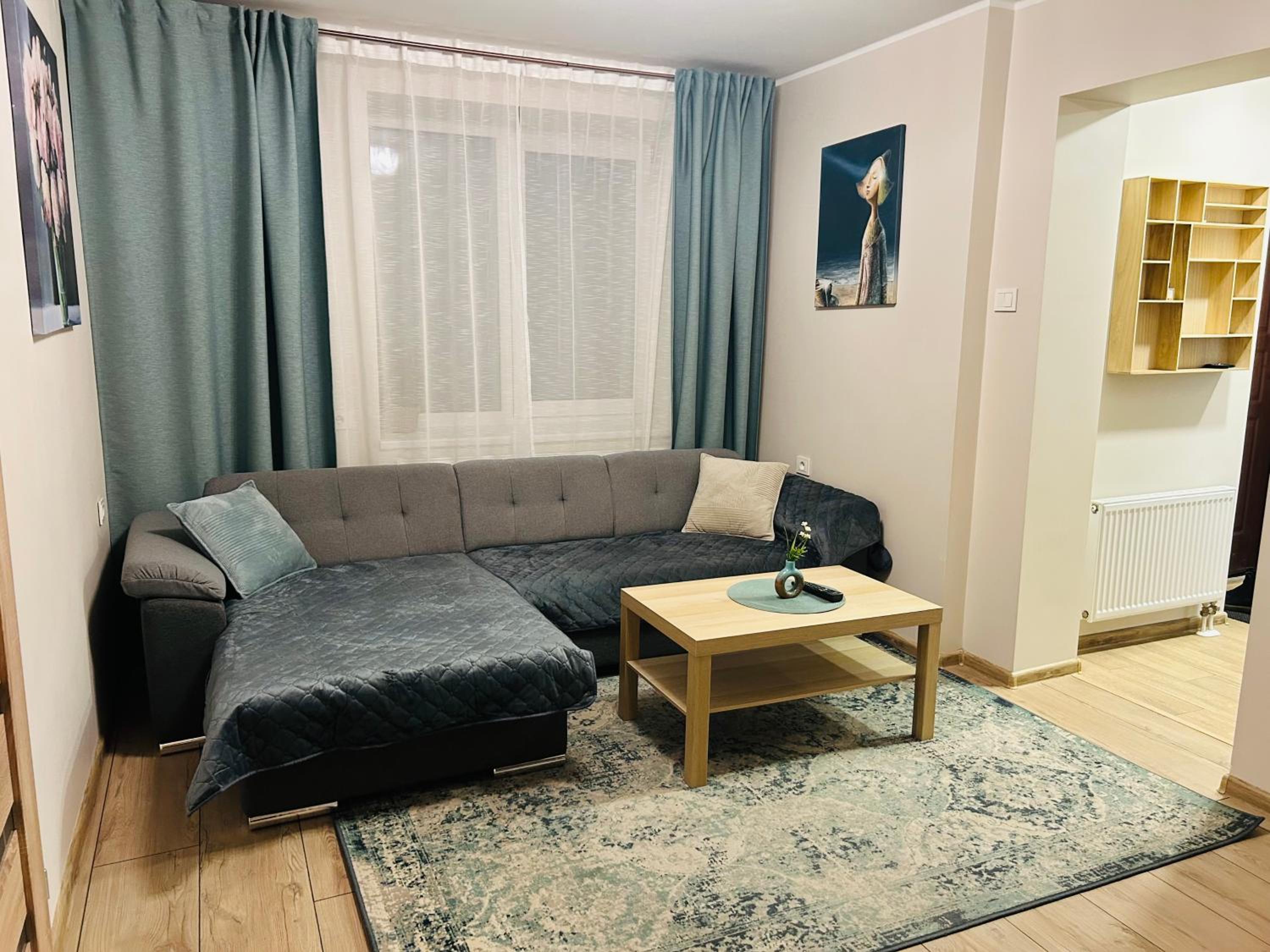 One-Bedroom Apartment photo 3
