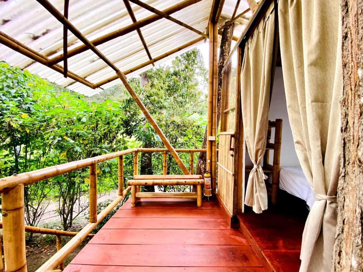 Twin Room With Balcony photo 2