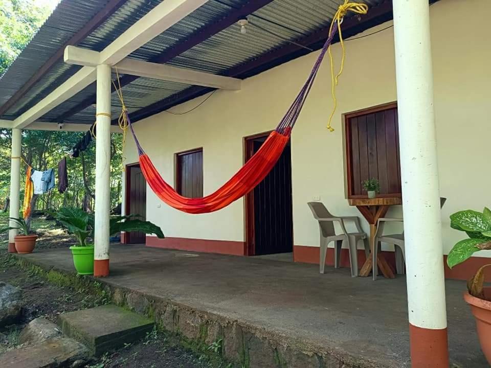Double Room With Patio photo 2