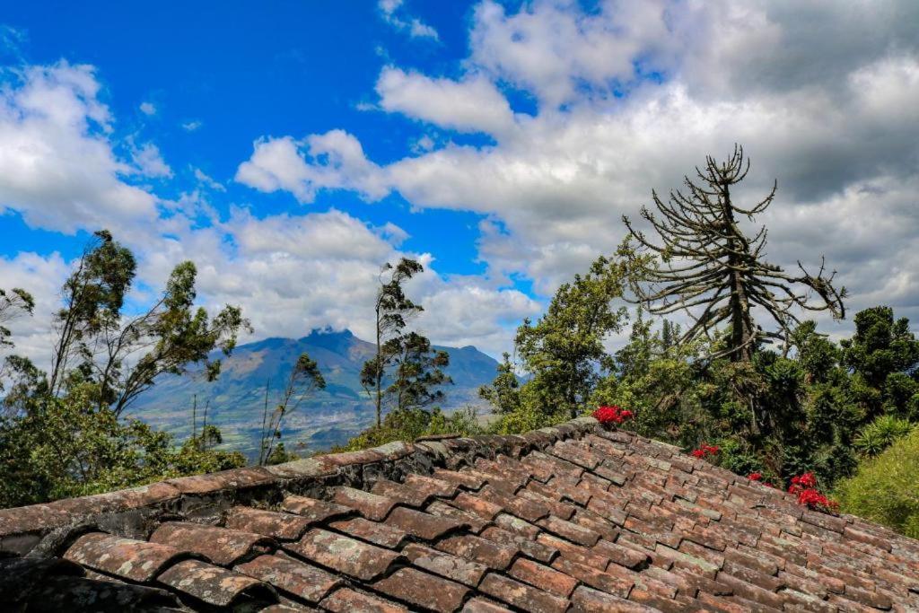 Double Room with Mountain View photo 2