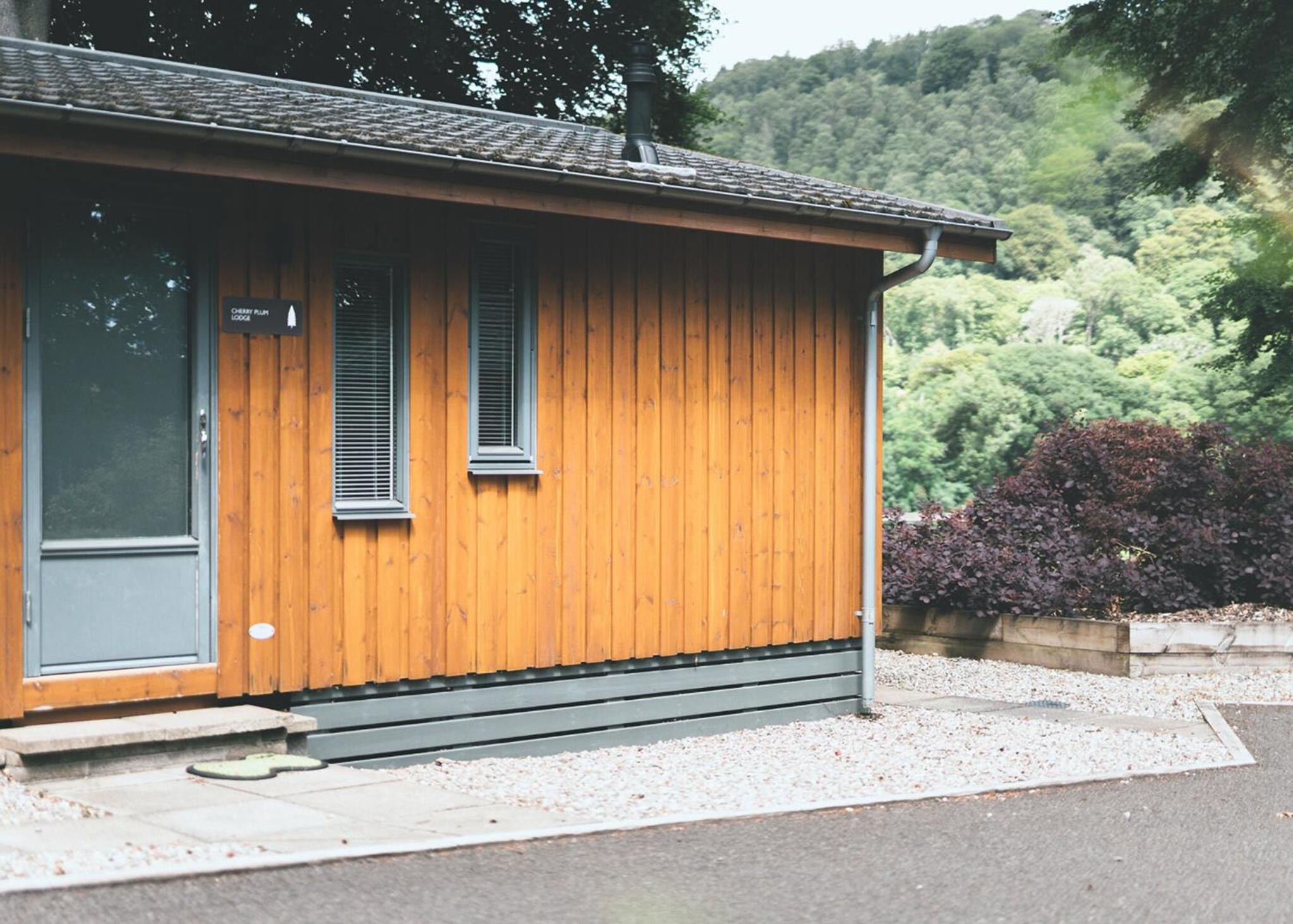 One-Bedroom Chalet photo 1
