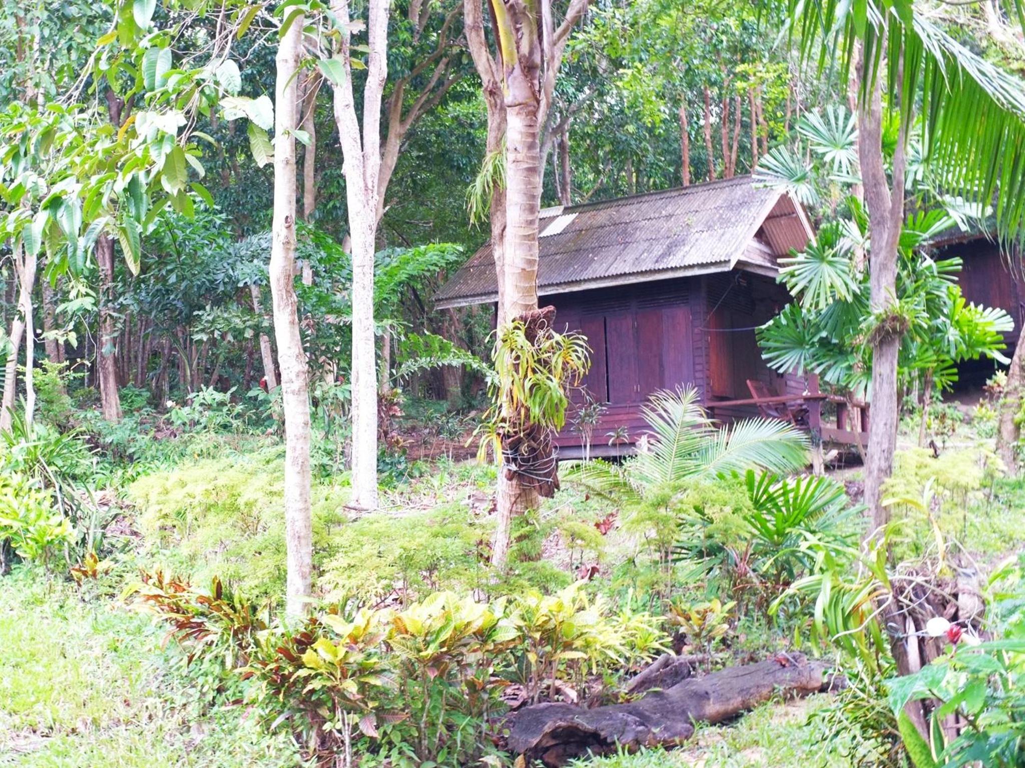 Bungalow with Sea View photo 2