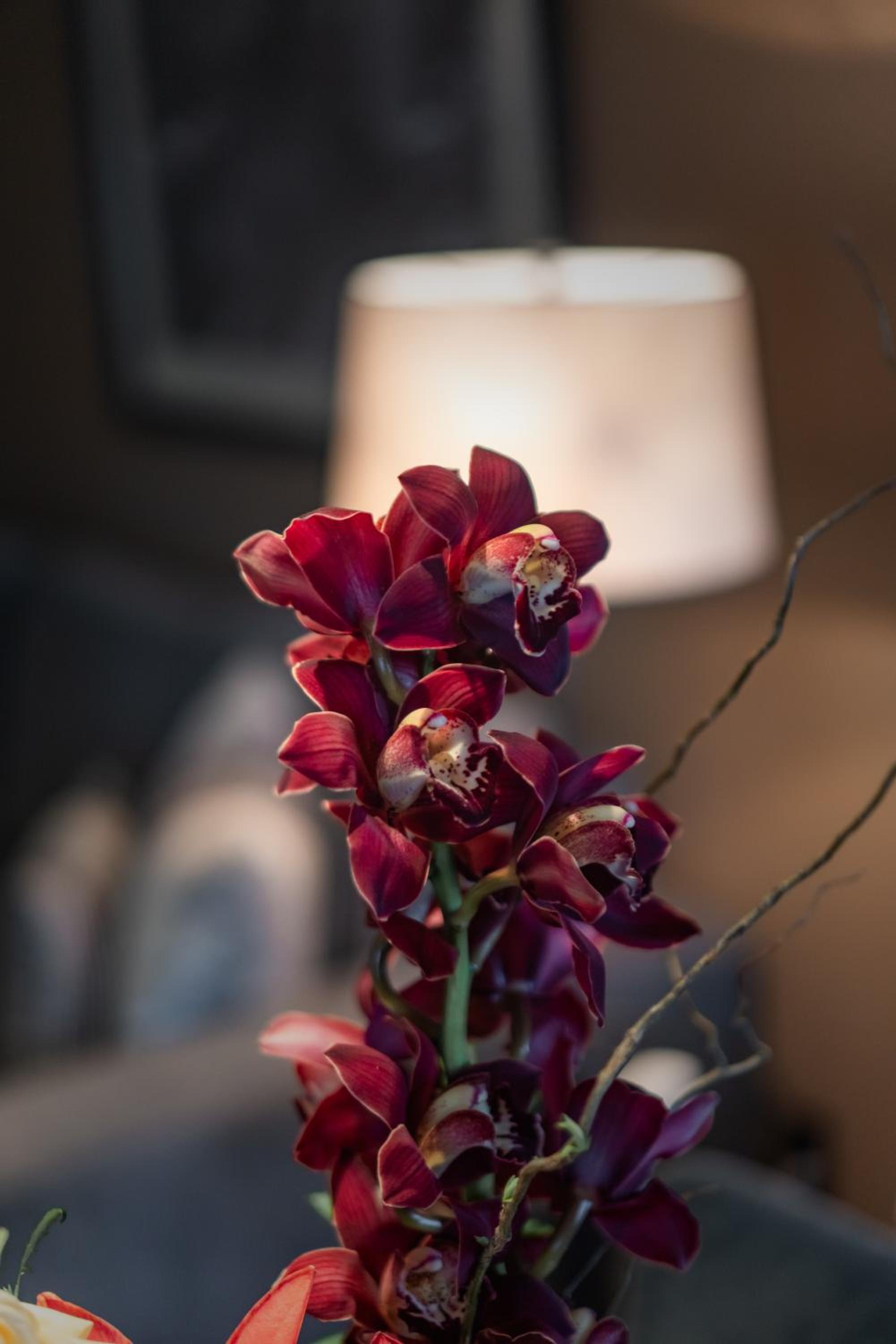 Superior Suite - Photo 10