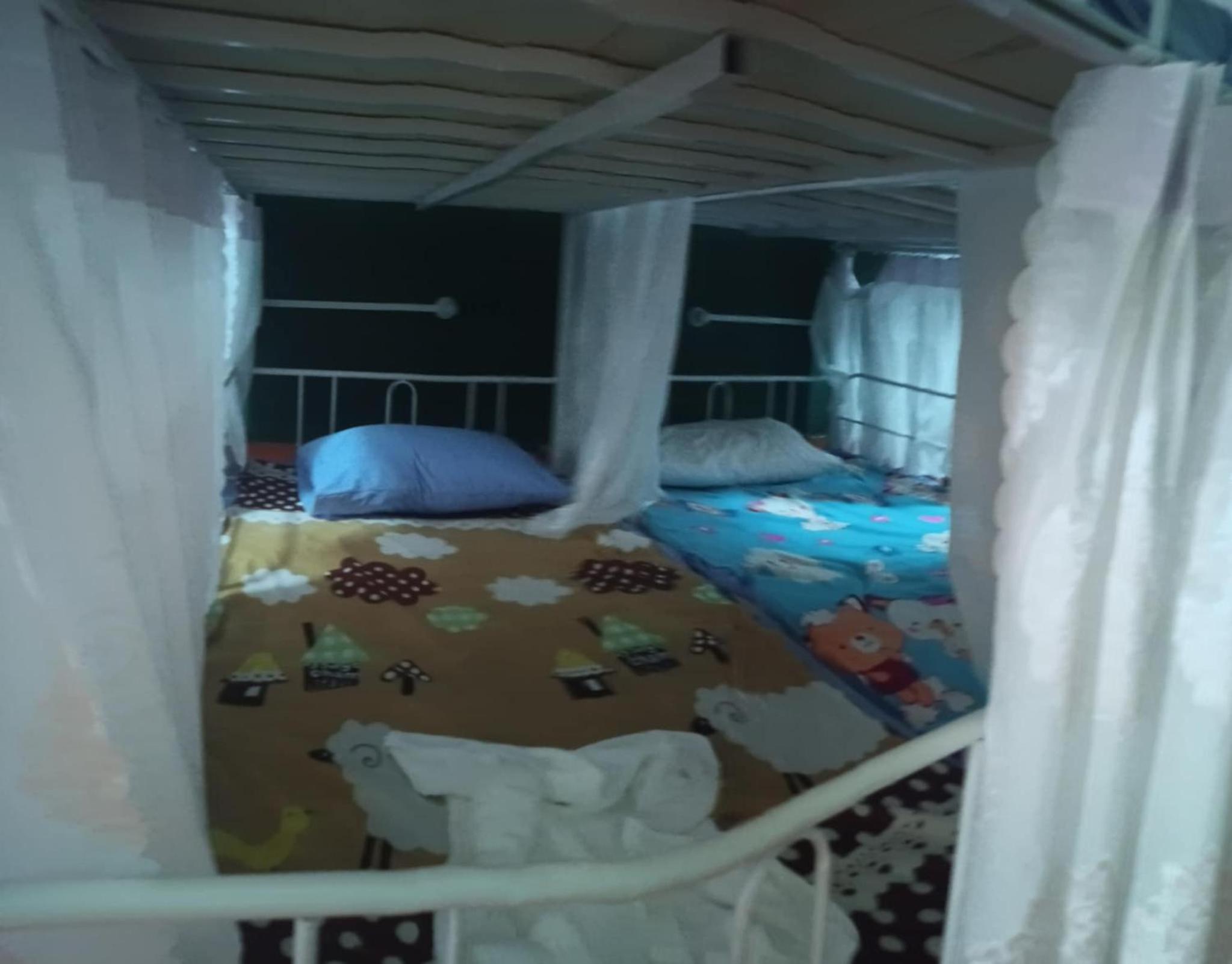 Single Bed In Mixed Dormitory Room photo 1