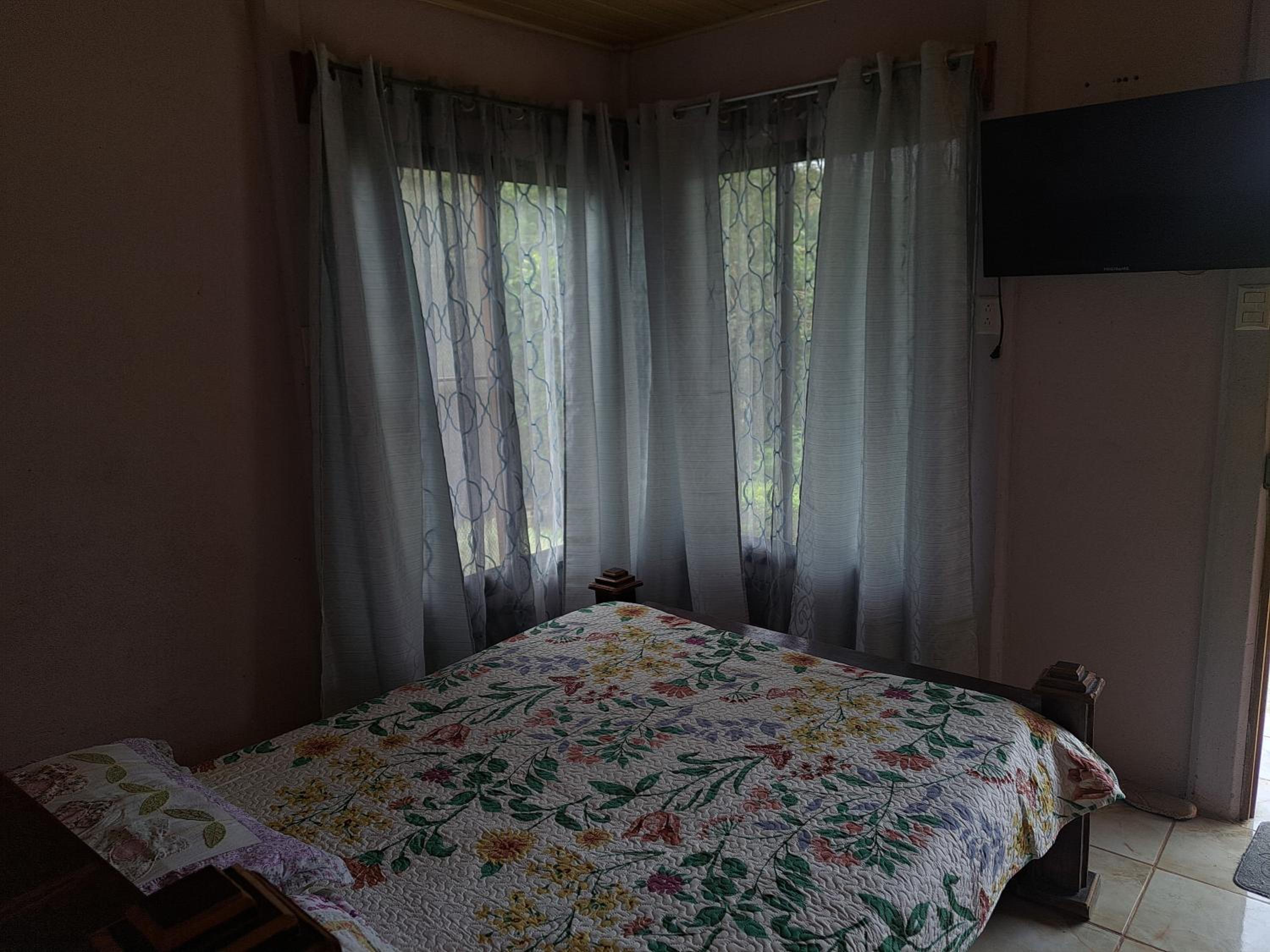 Double or Twin Room photo 2