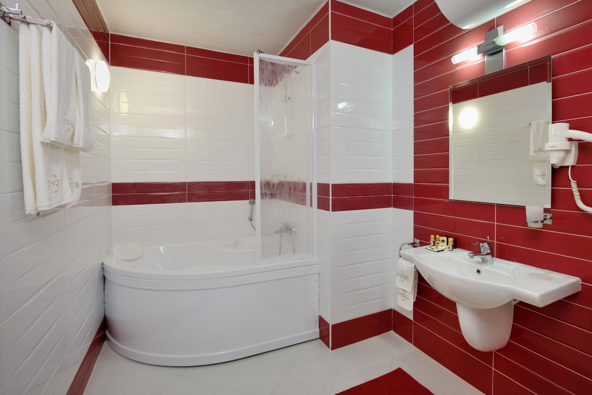 Deluxe One-Bedroom Apartment (2 Adults + 2 Children) - Photo 5