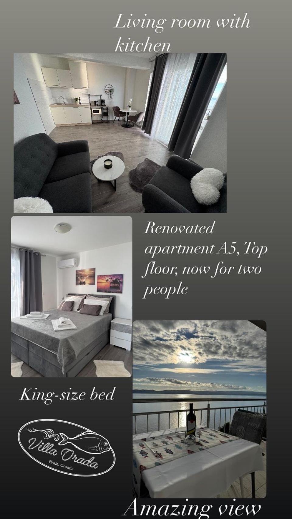 Superior One-Bedroom Apartment with Balcony photo 2