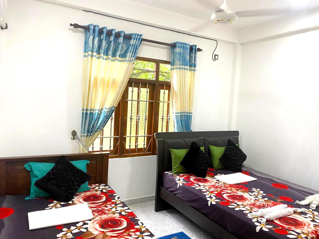 Deluxe Family Room photo 2