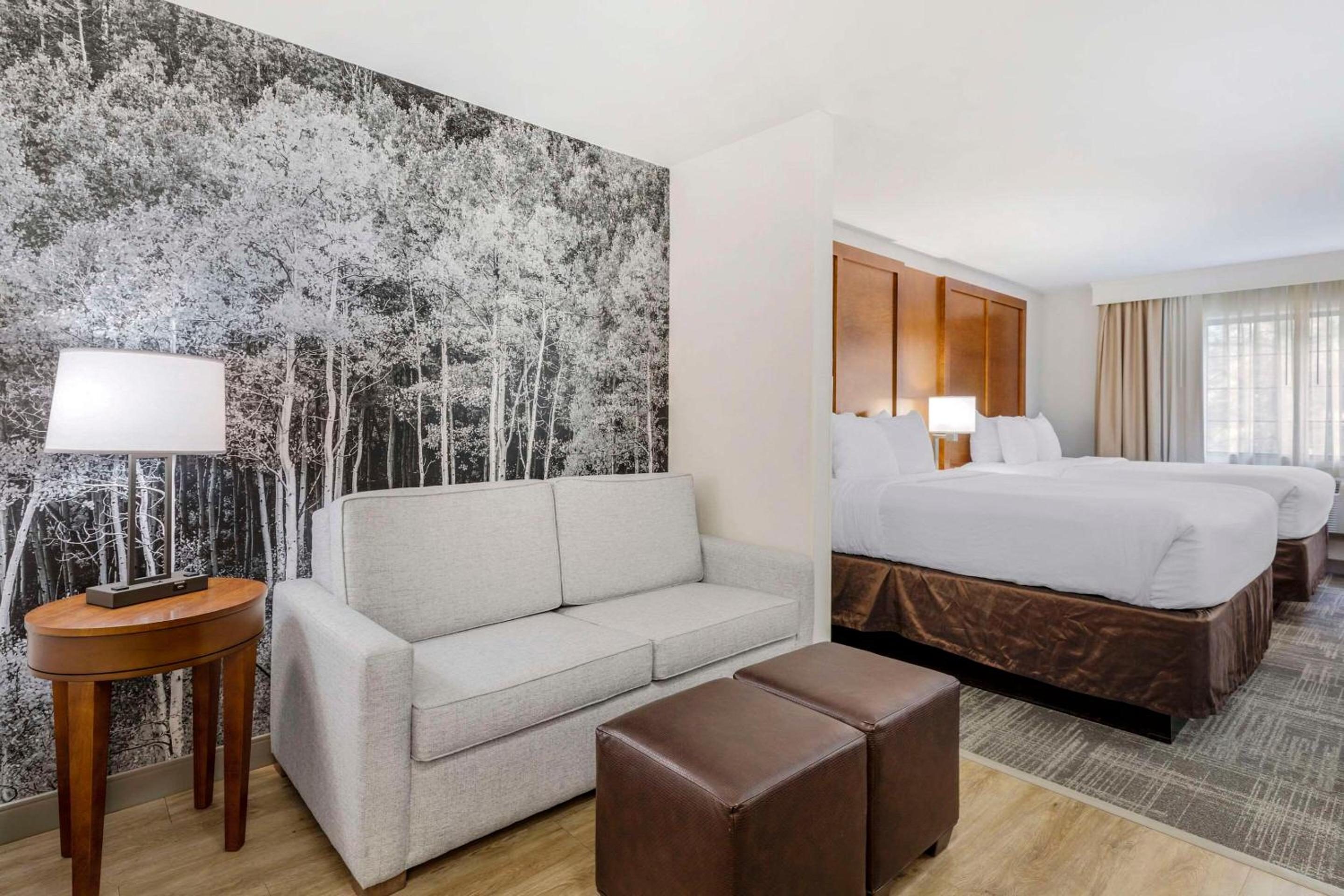Queen Suite with Sofa Bed - Non-Smoking (No Pets Allowed)
