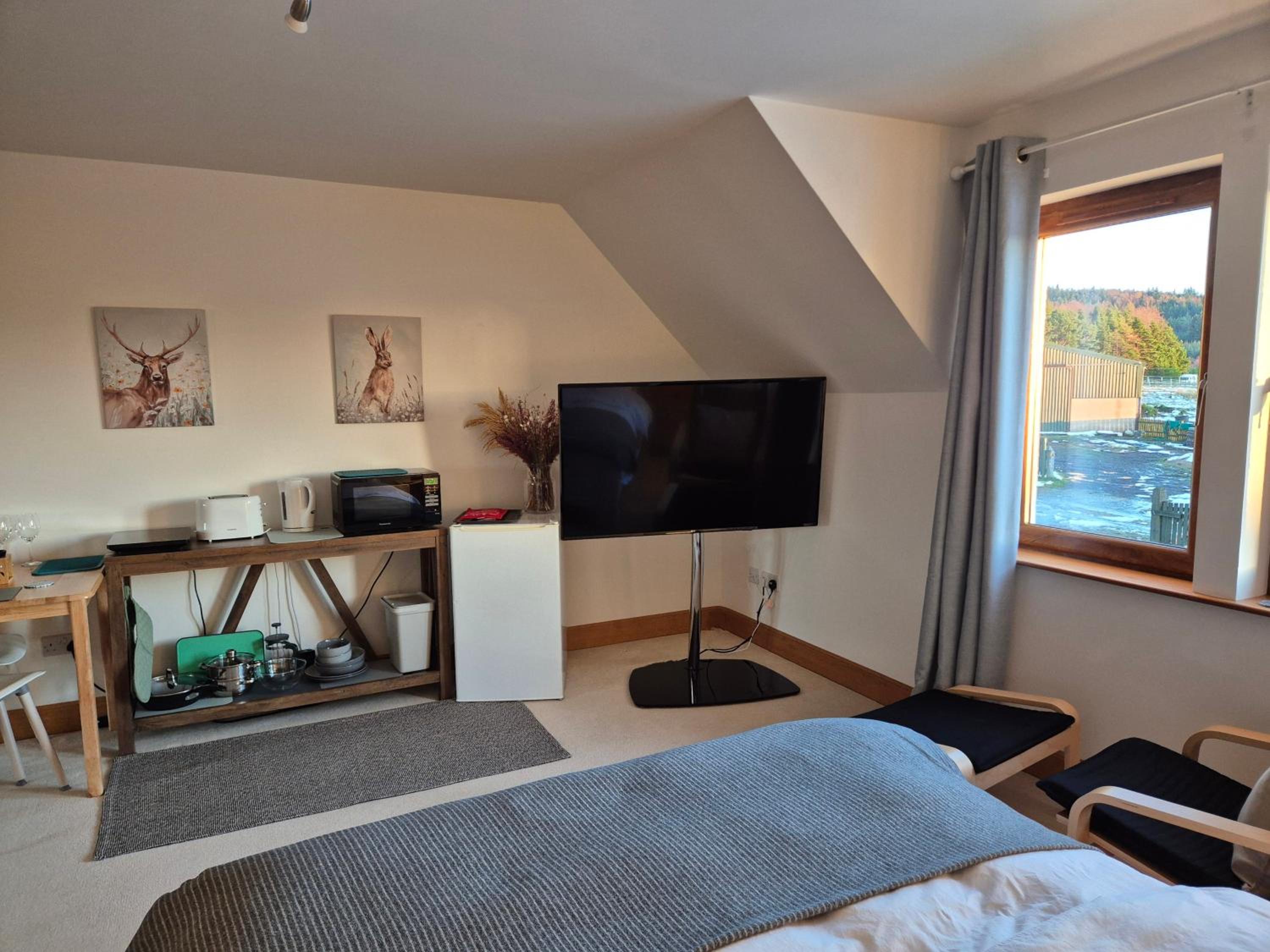 King Room photo 2
