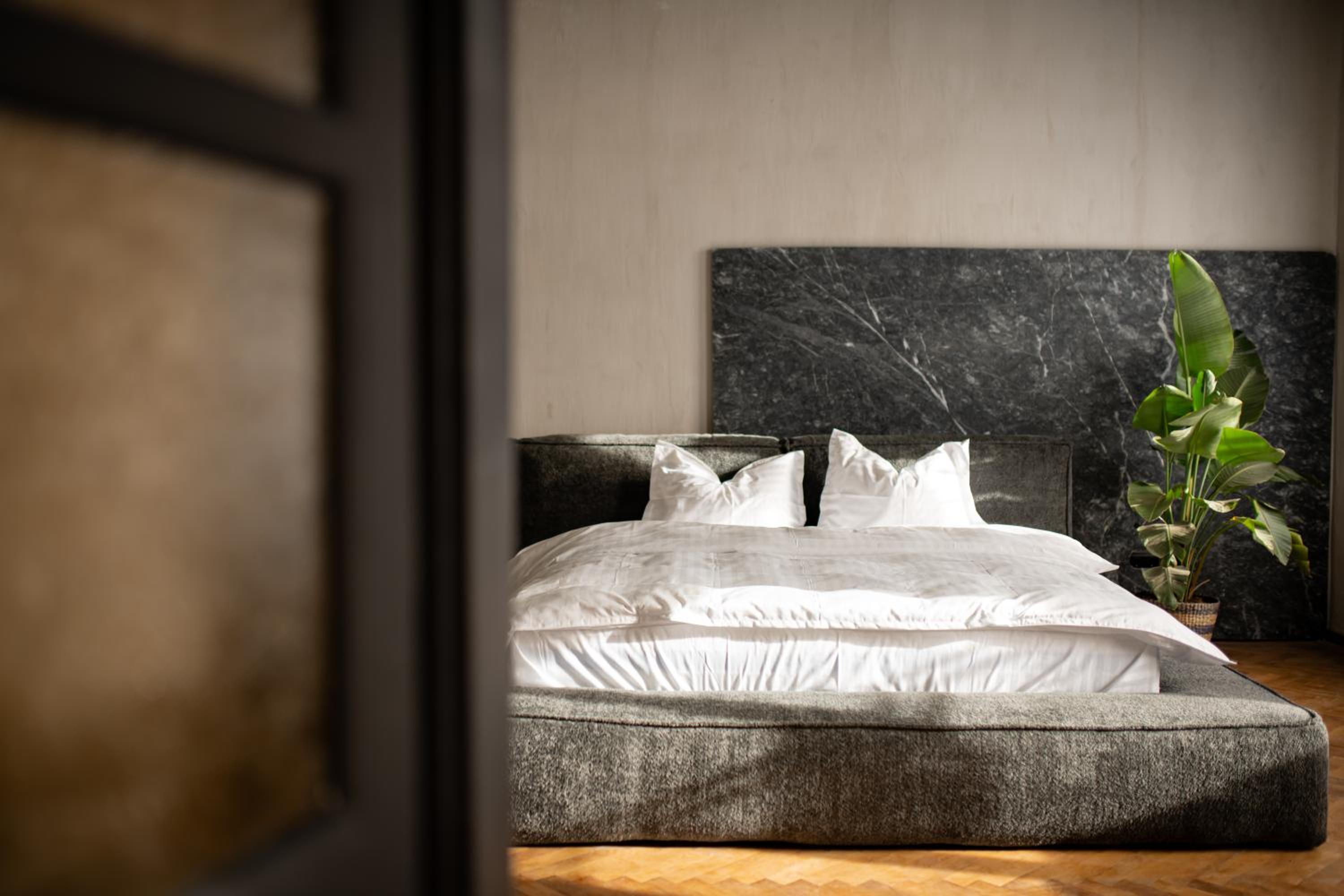 One-Bedroom Deluxe Apartment