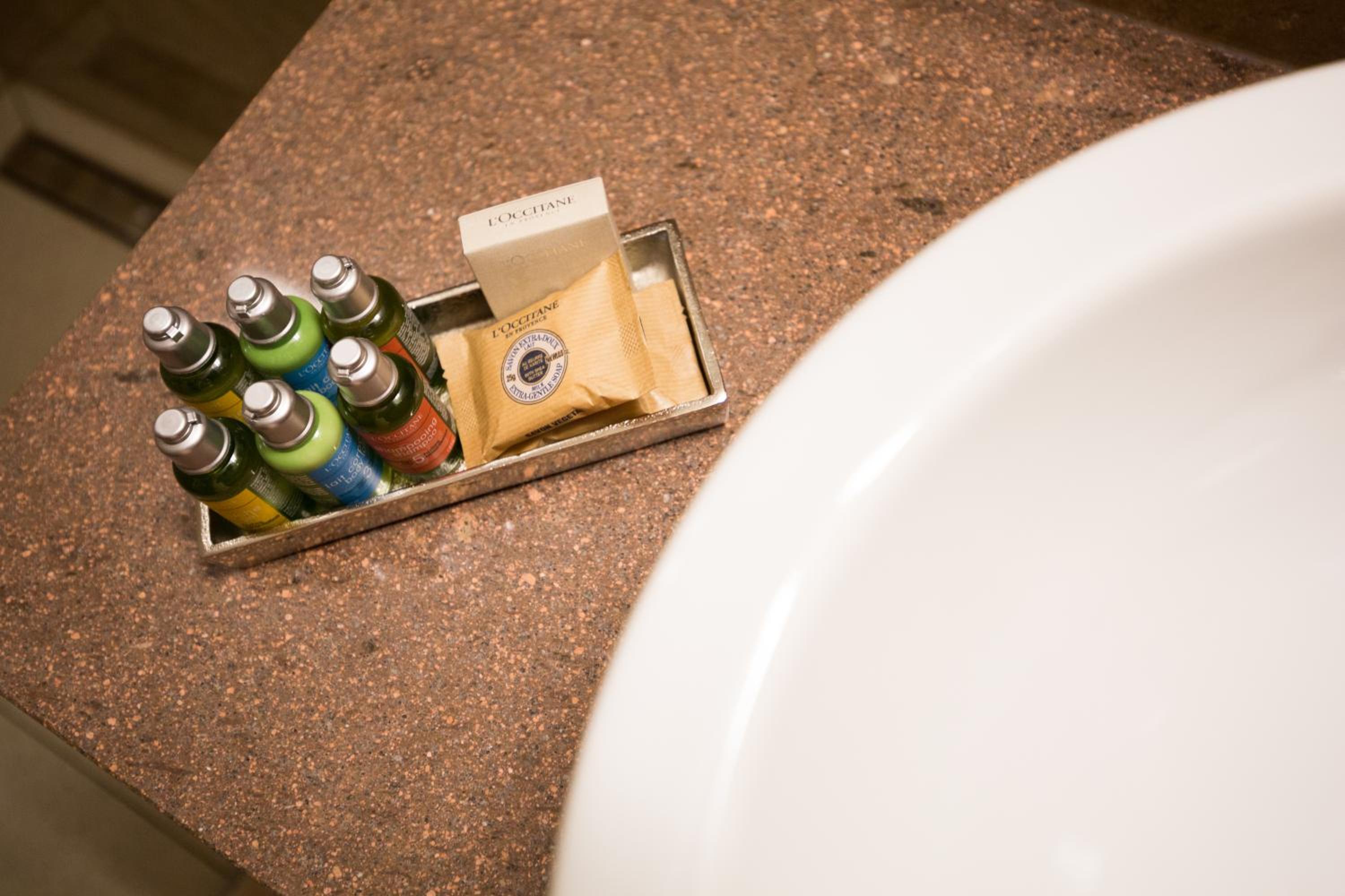 Superior Suite with Private Sauna photo 2