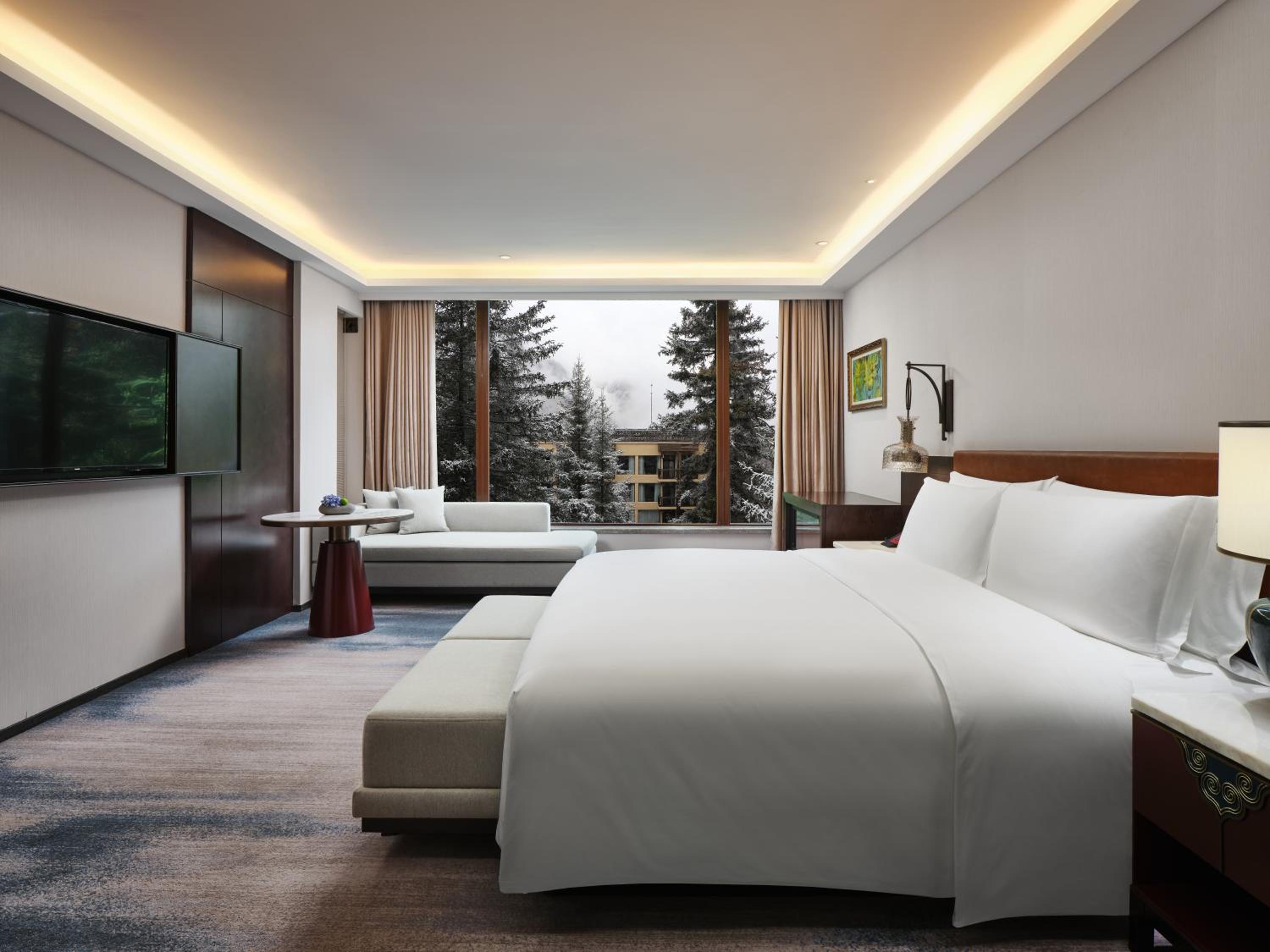 Suite - Photo 9