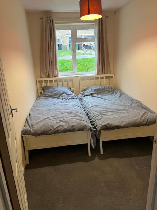 Three-Bedroom Apartment photo 2