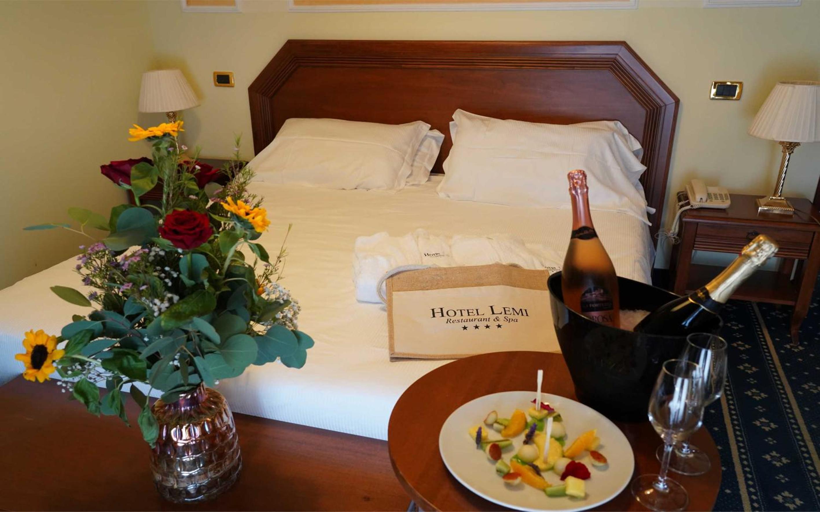 Hotel Lemi