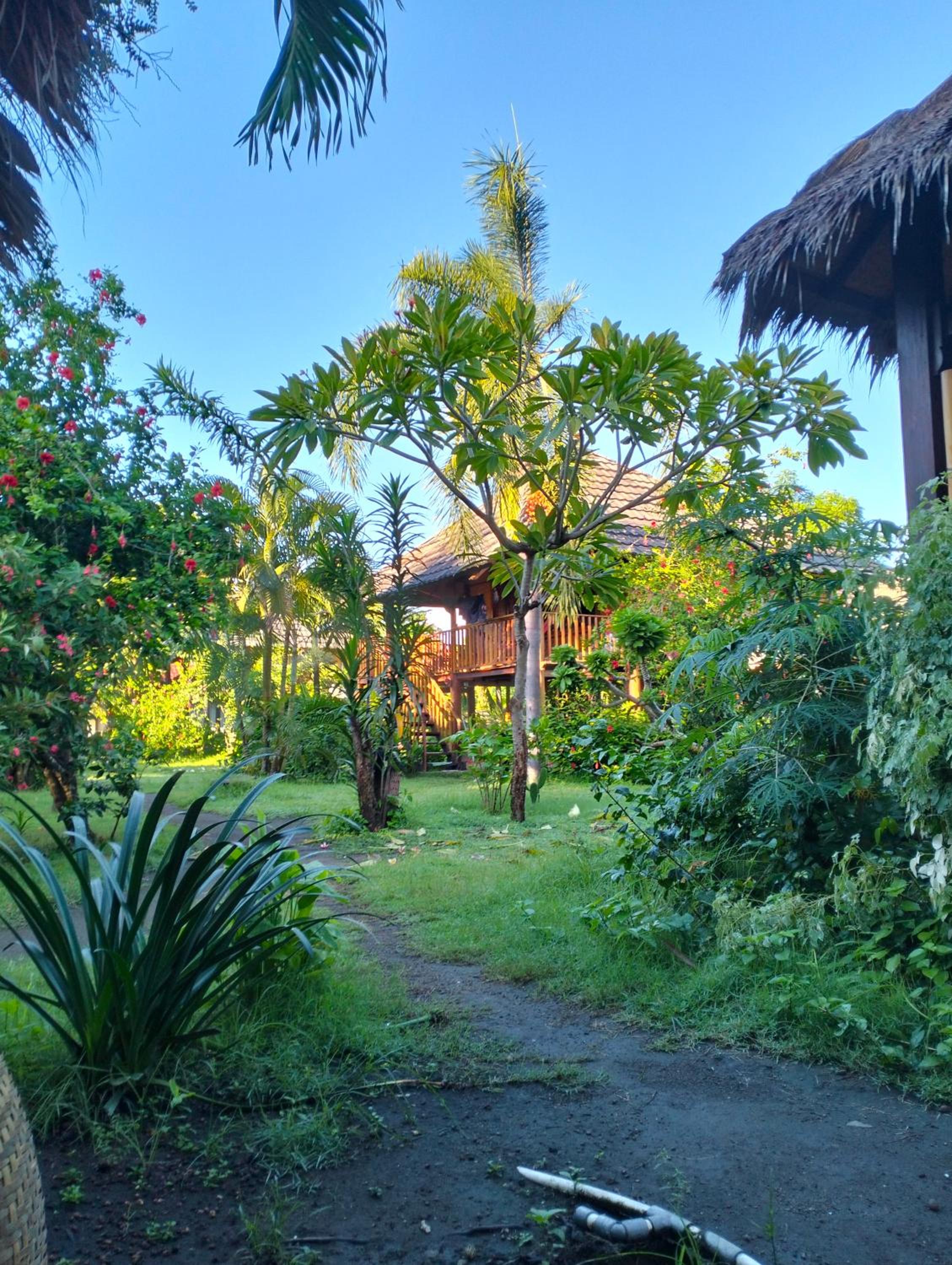 Deluxe Bungalow photo 2