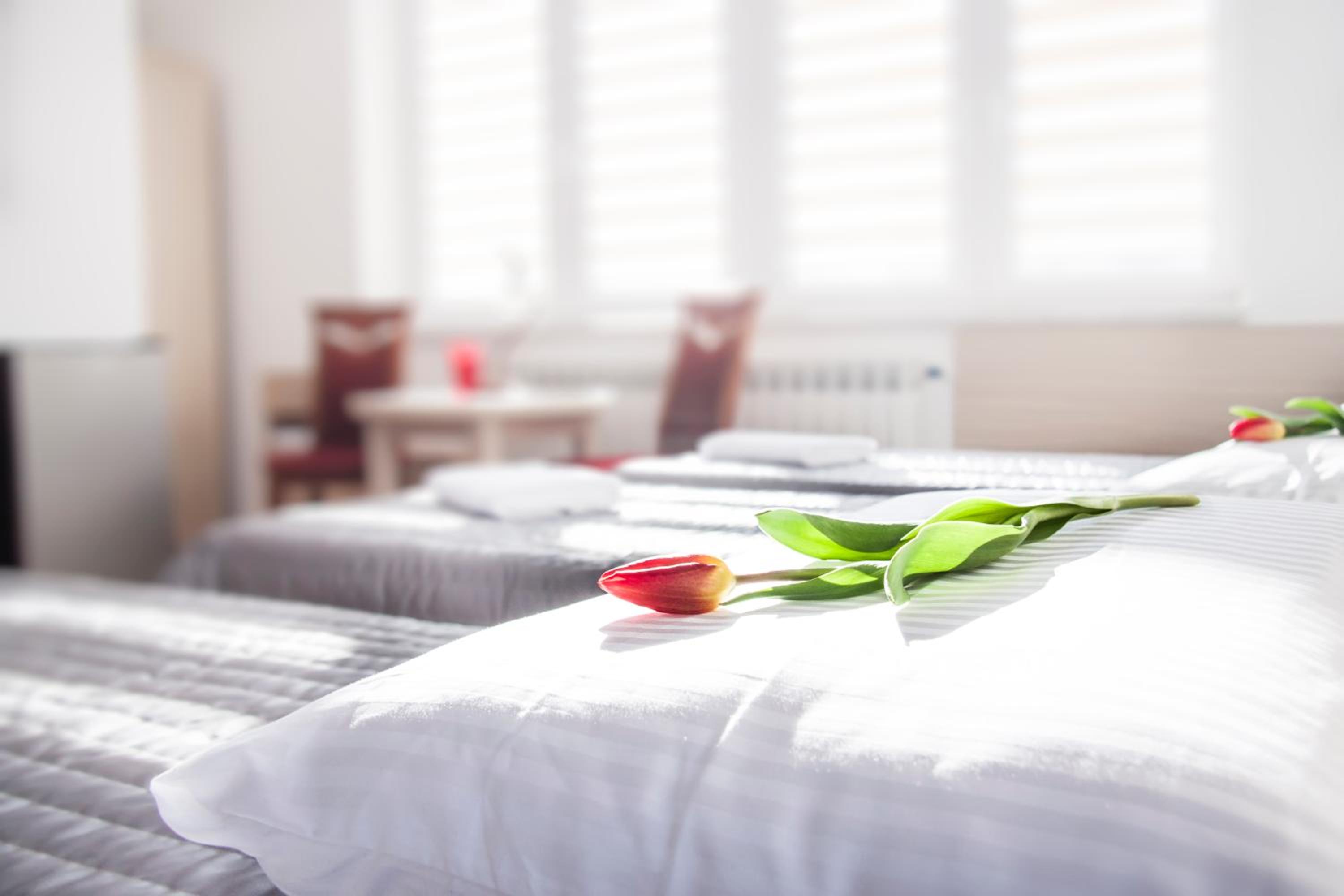 Family Room photo 1