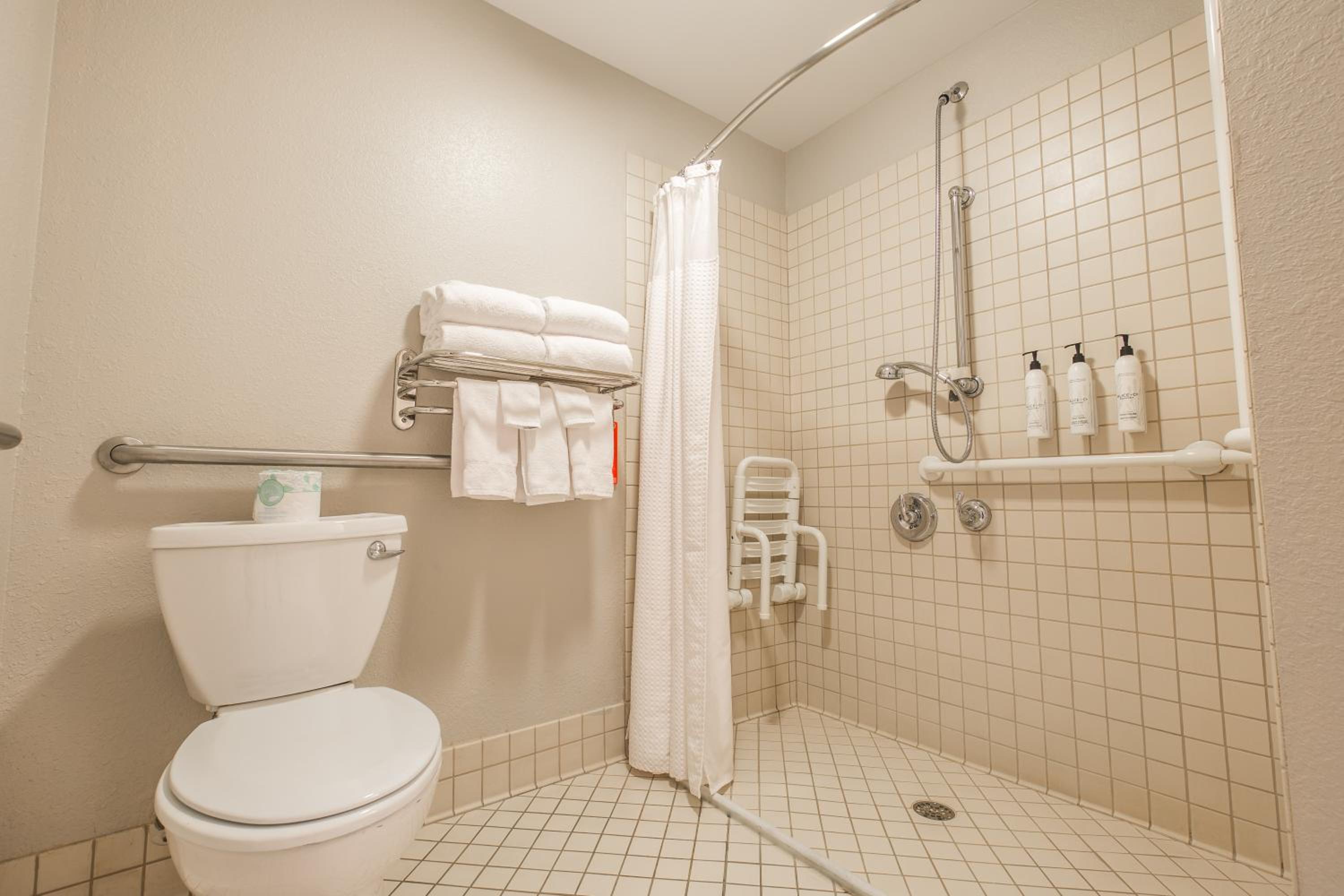 Queen Studio with Sofa Bed - Mobility Accessible with Roll-in Shower photo 2