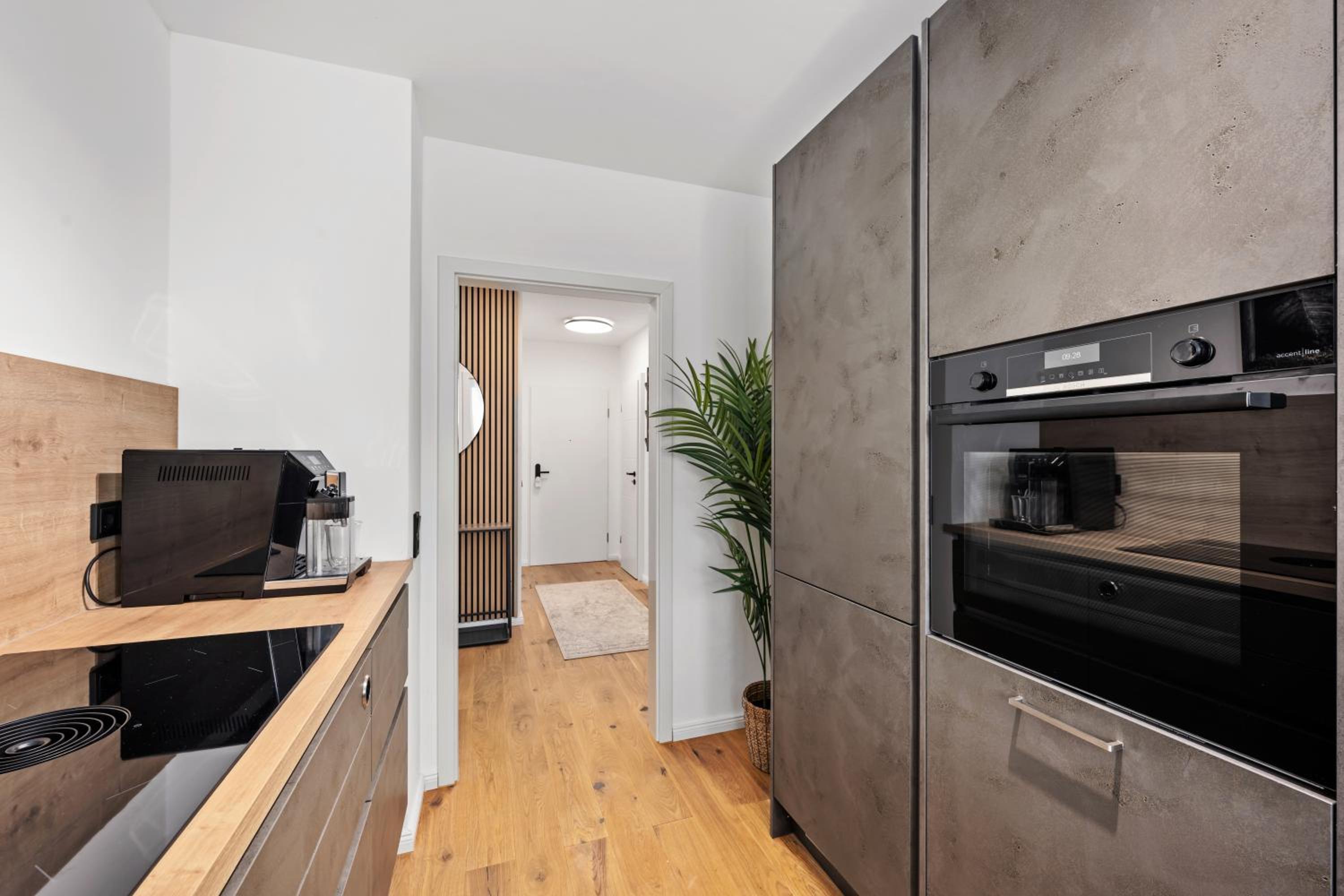 One-Bedroom Apartment photo 2
