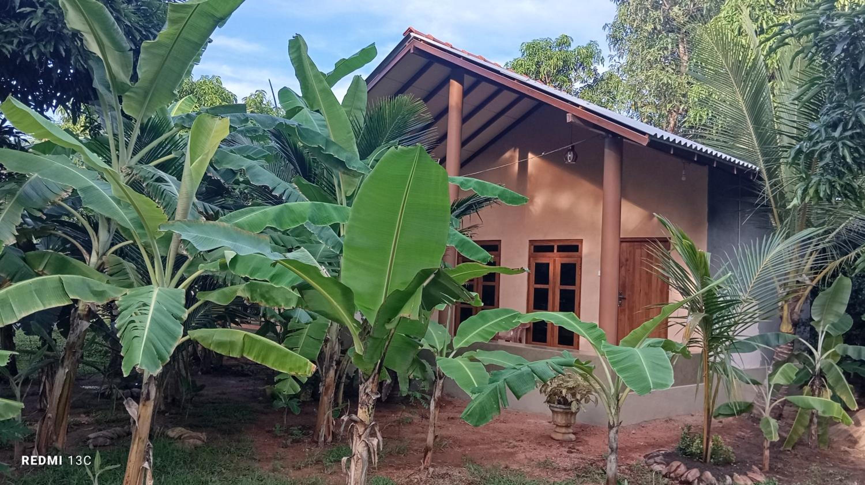 Family Bungalow photo 3