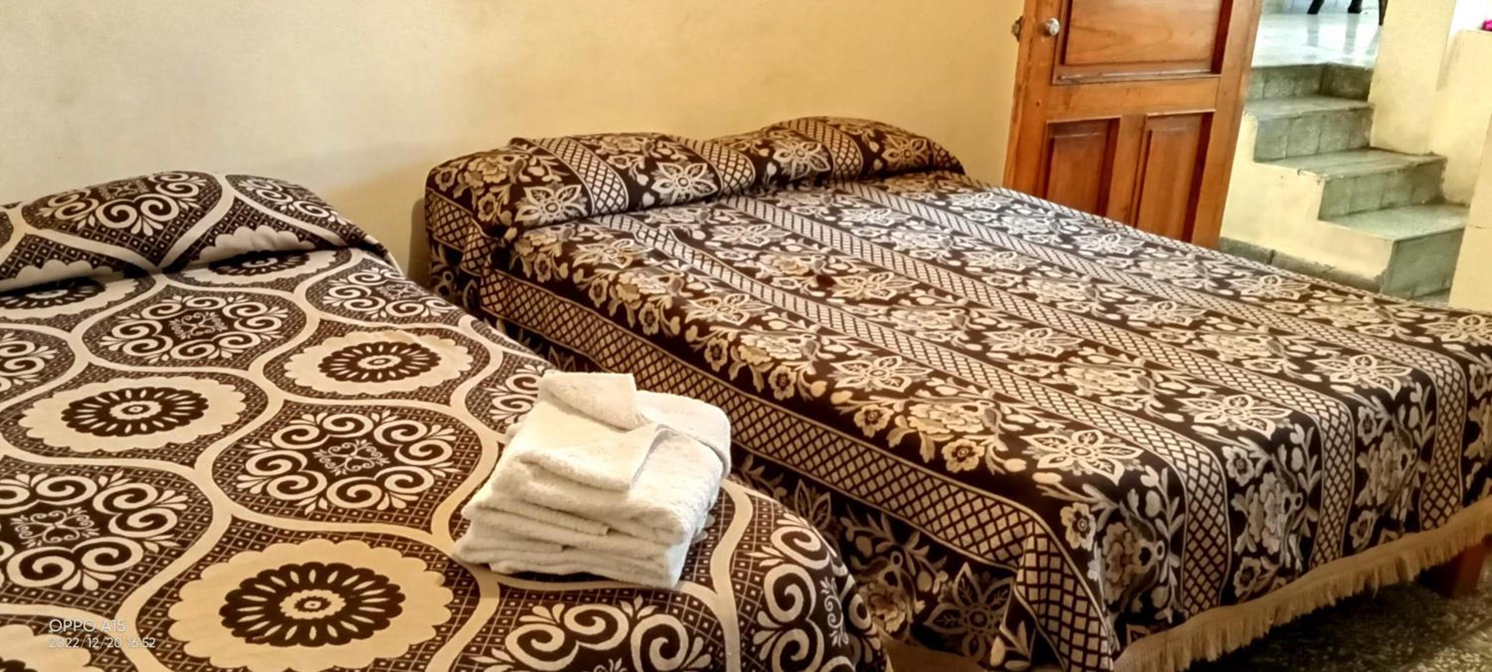Twin Room photo 2