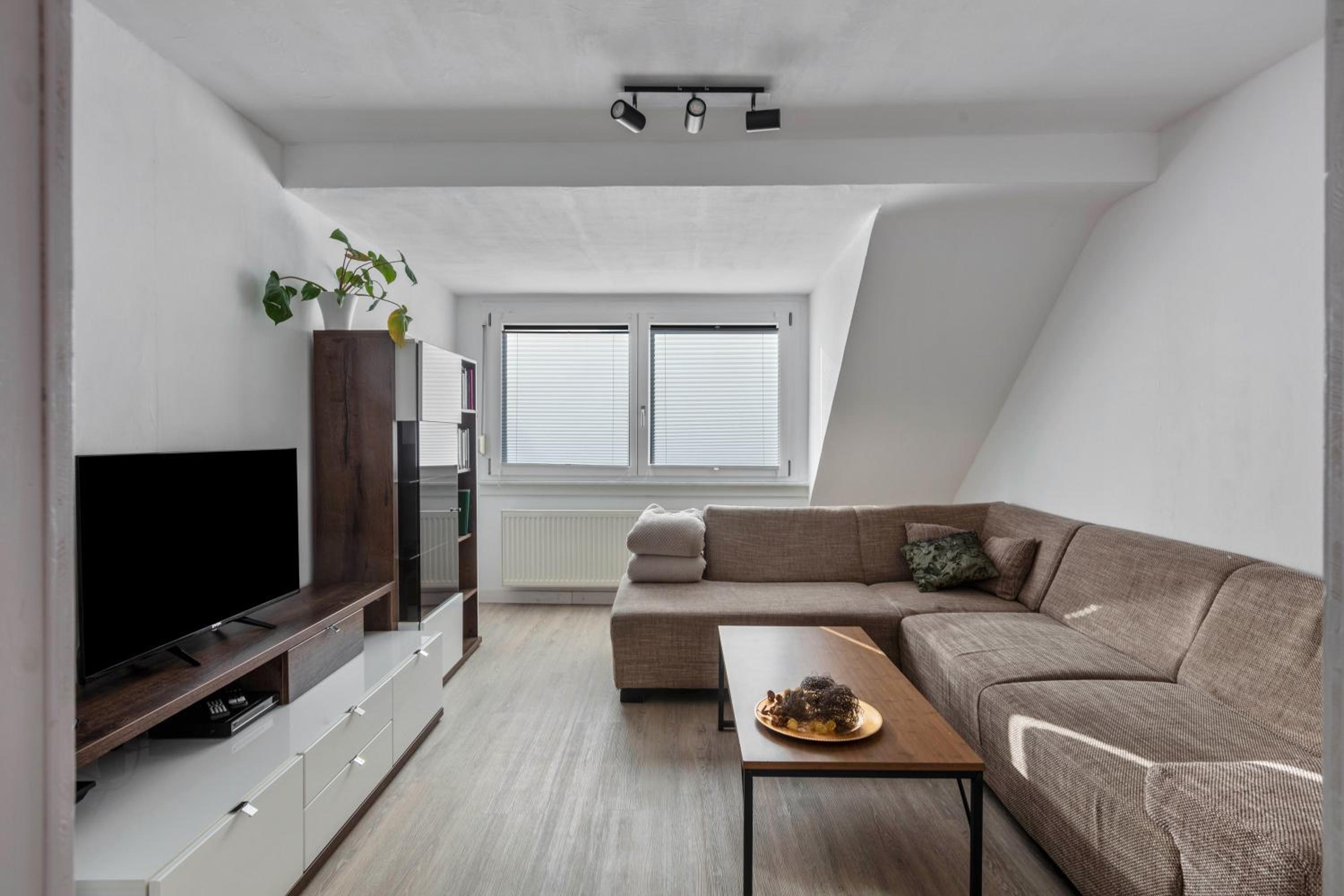 Superior Apartment with City View