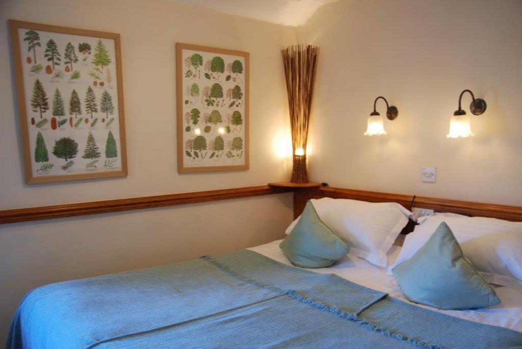 Standard Double Room photo 1