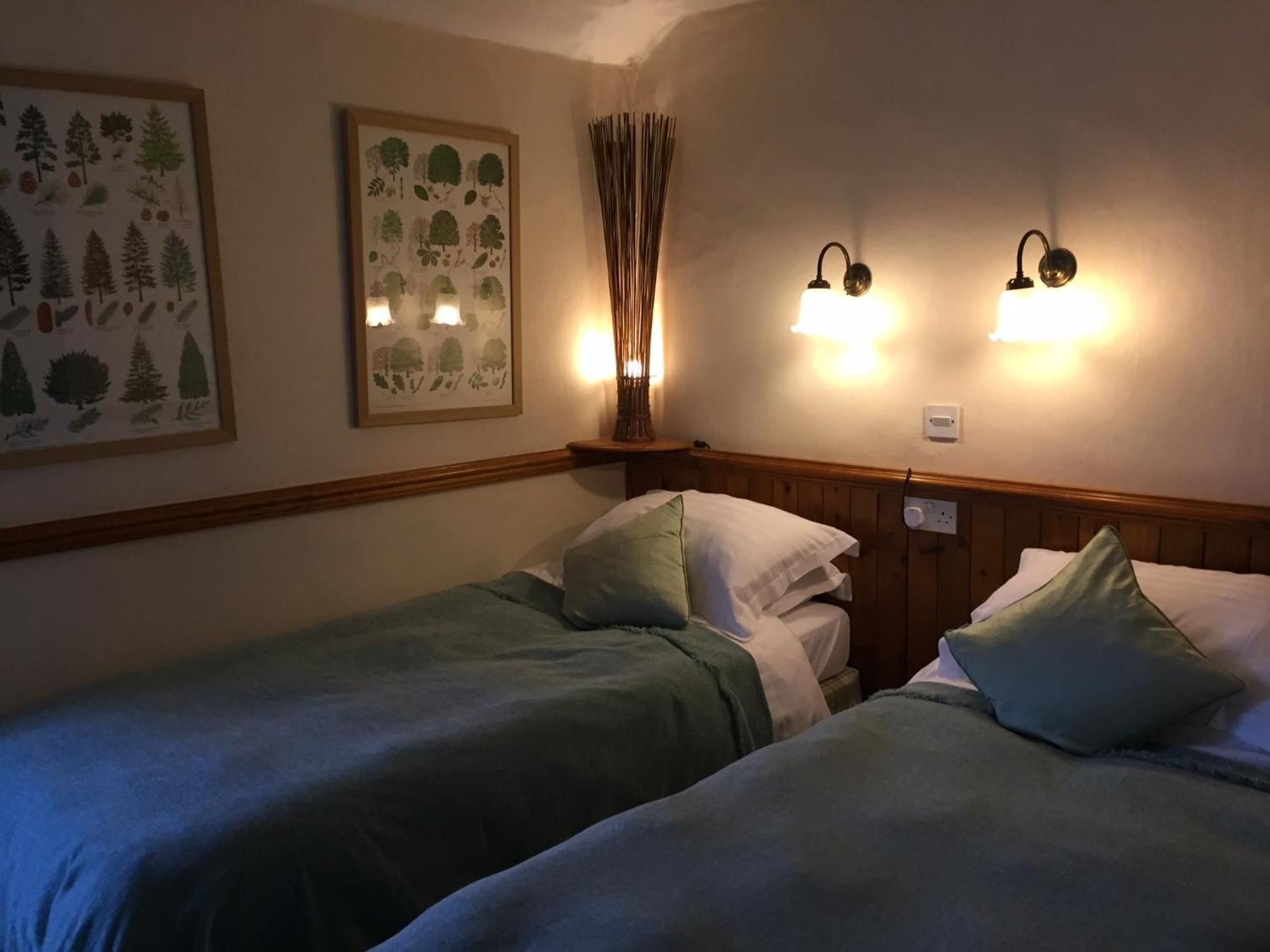Double or Twin Room photo 2