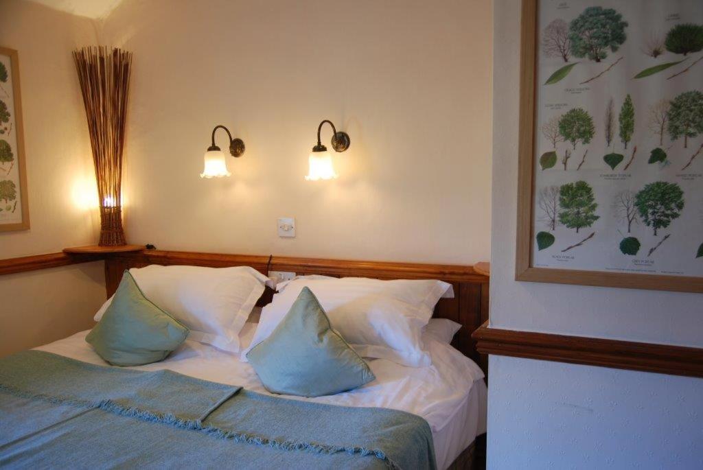 Double or Twin Room photo 3