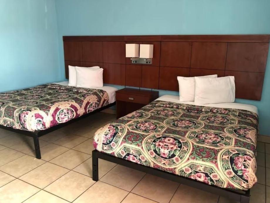 Standard Double or Twin Room photo 1