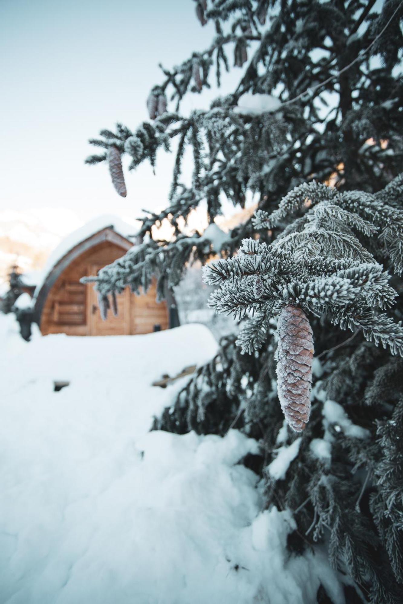 Superior Chalet - Photo 2