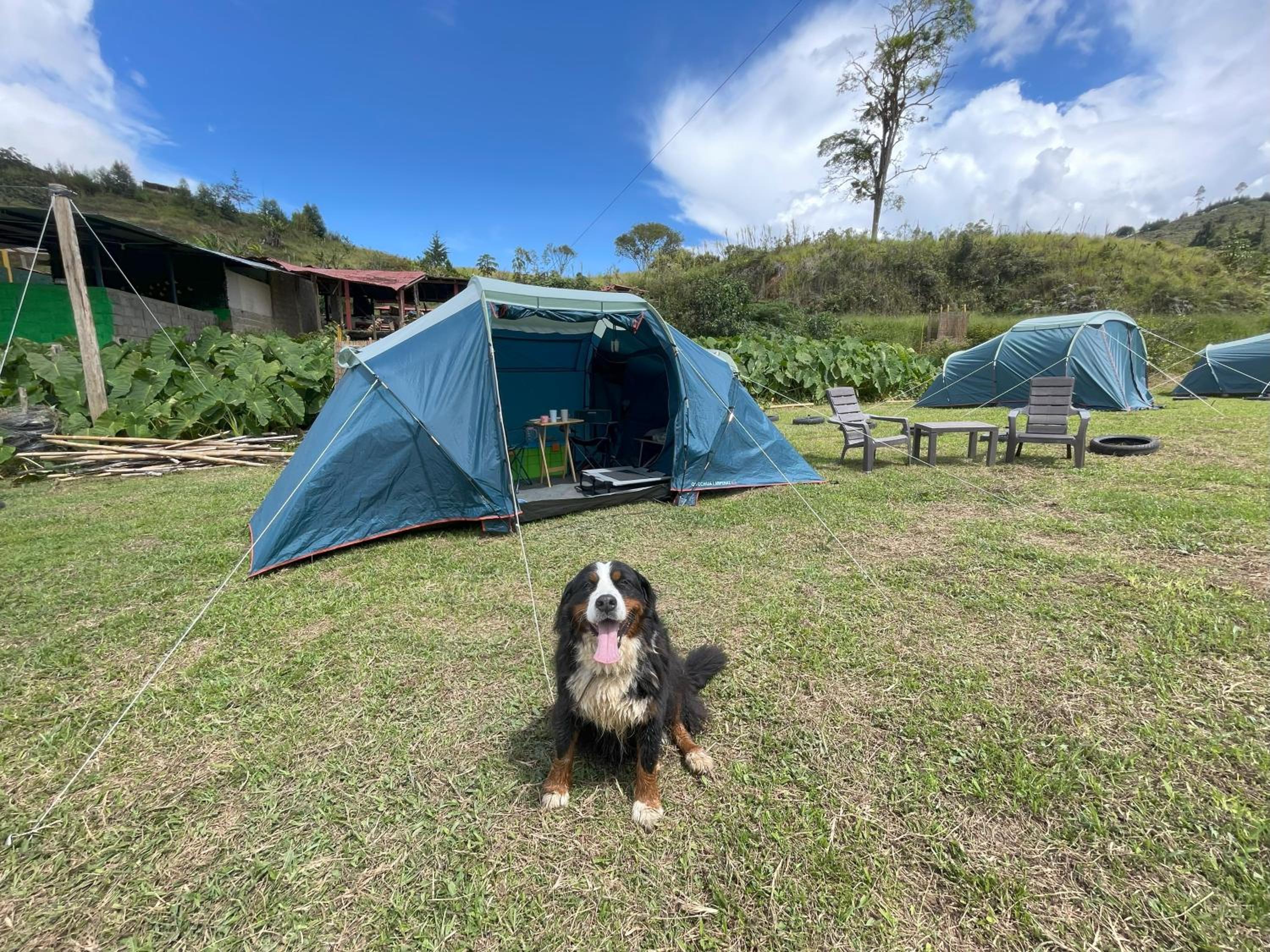 Tent photo 1