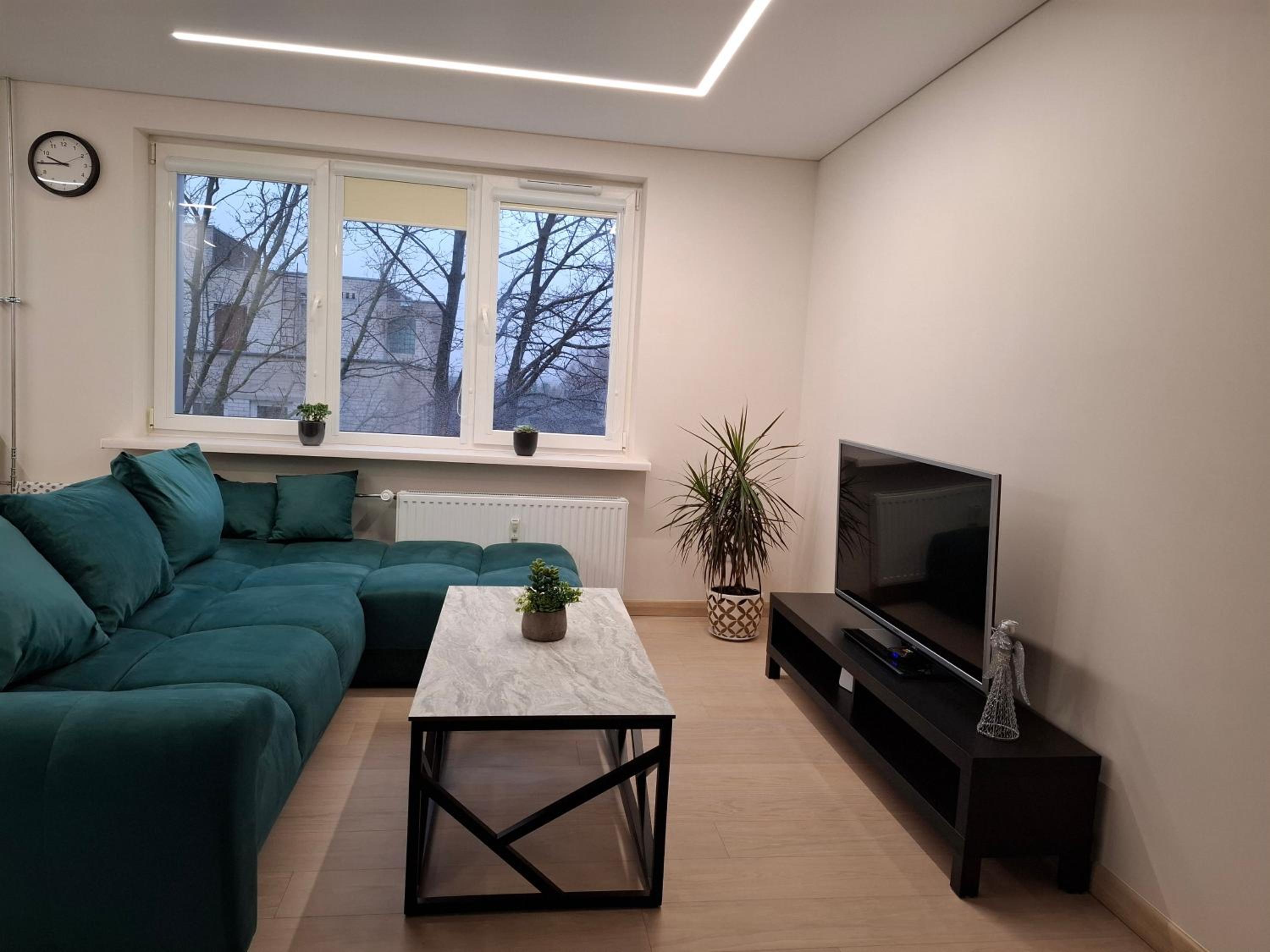 One-Bedroom Apartment photo 2
