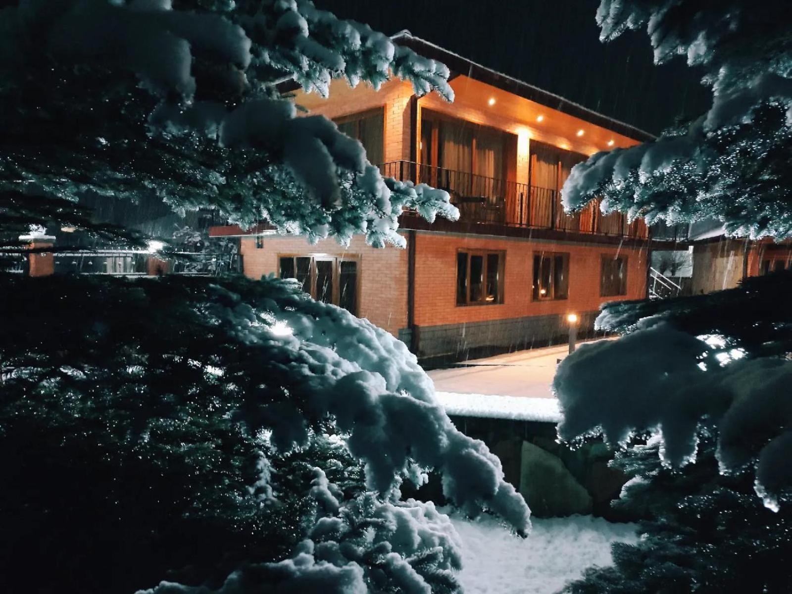 Superior Villa photo 3