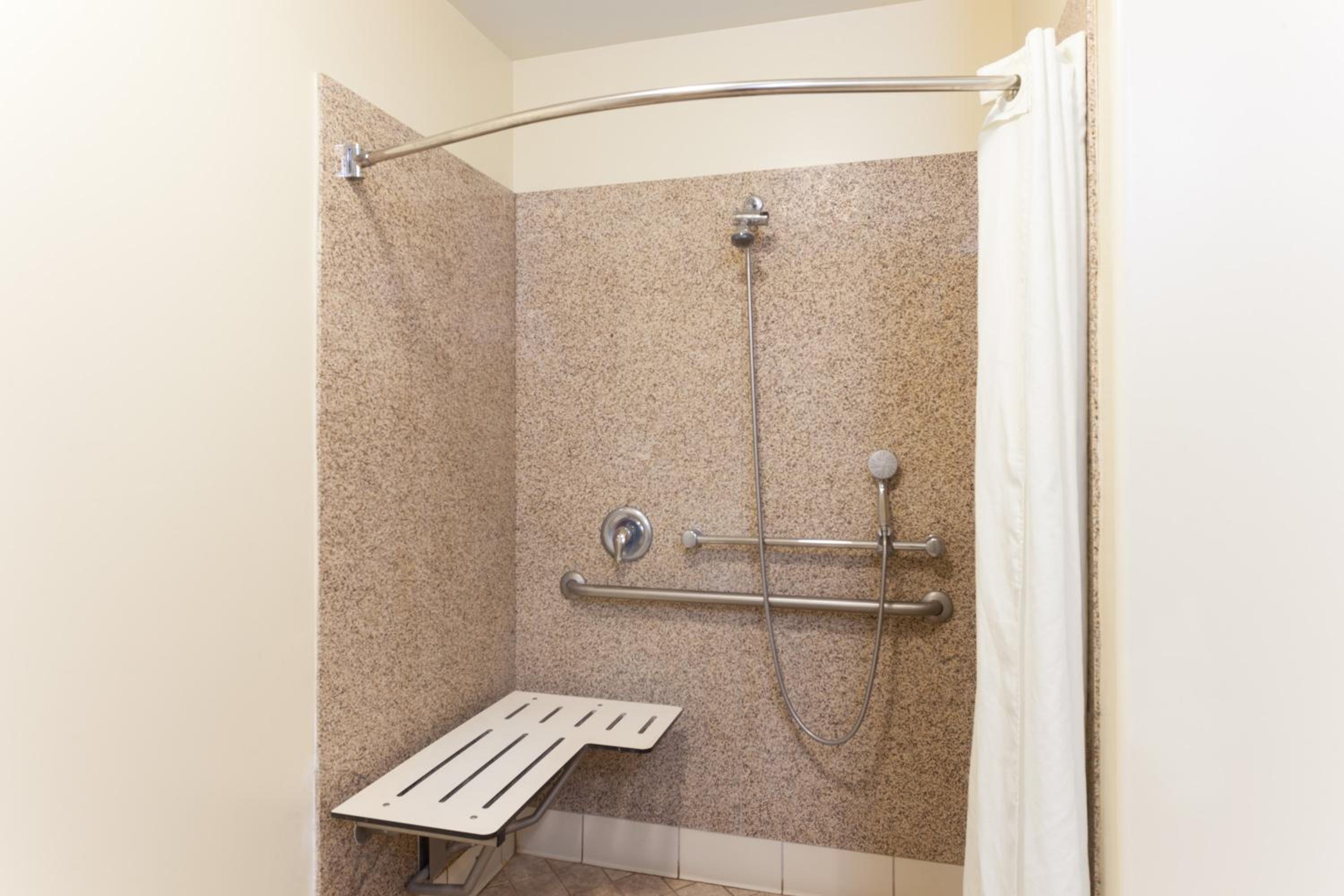 1 Queen Bed, Mobility/Hearing Impaired Access Room, Roll-In Shower, Non-Smoking